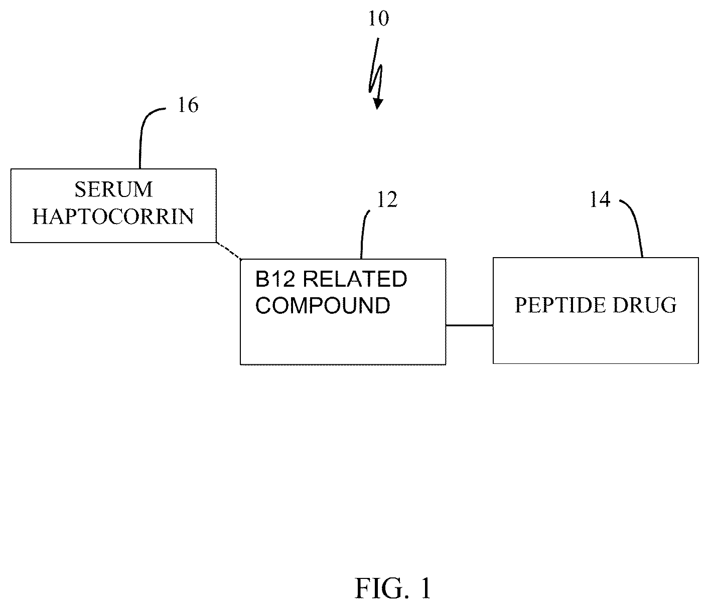 Patent US12090208 — Peptide drug improvement using vitamin B 12 and Haptocorrin binding substrate conjugates — Figure 1