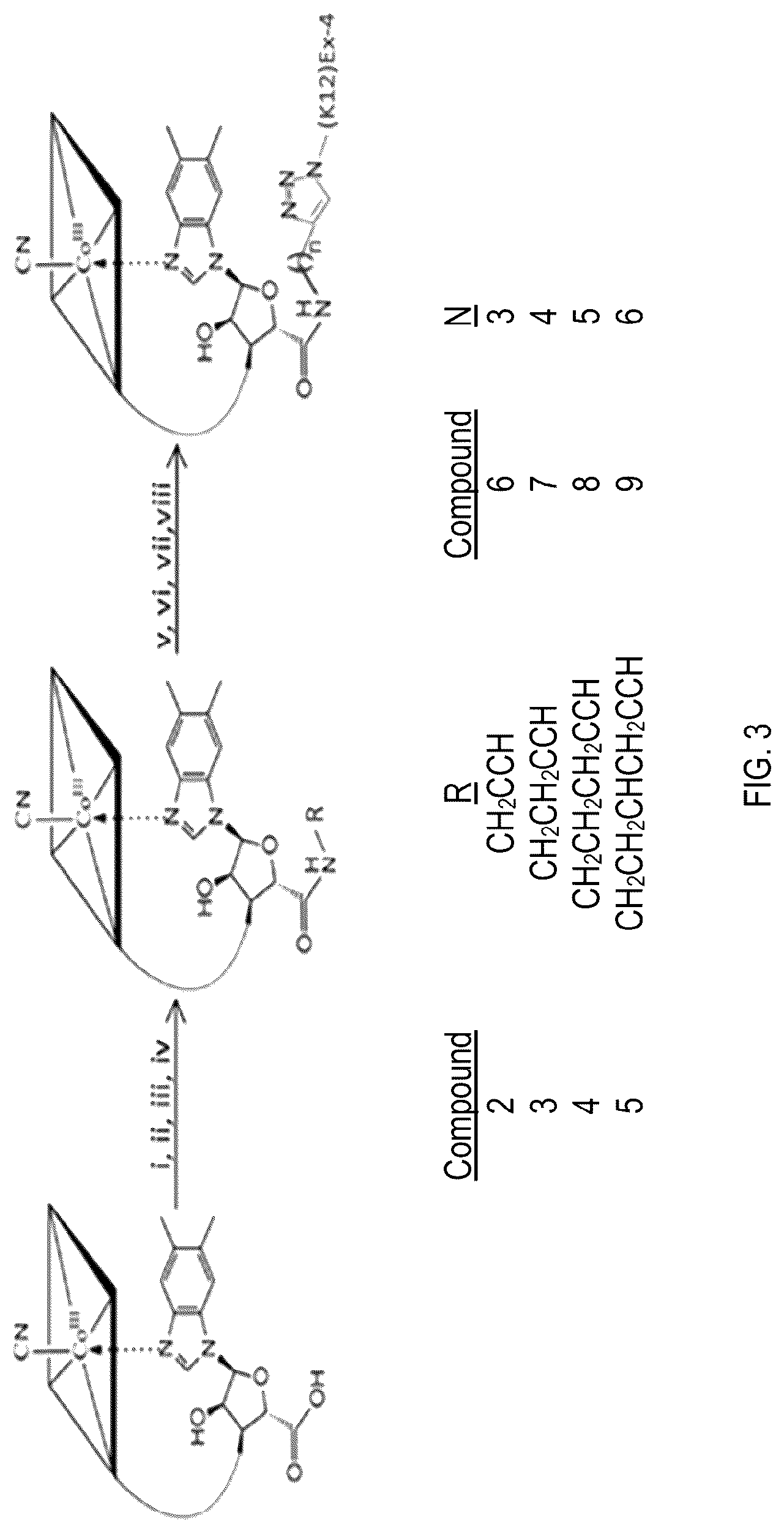 Patent US12090208 Figure 3 – Peptide drug improvement using vitamin B 12 and Haptocorrin binding substrate conjugates