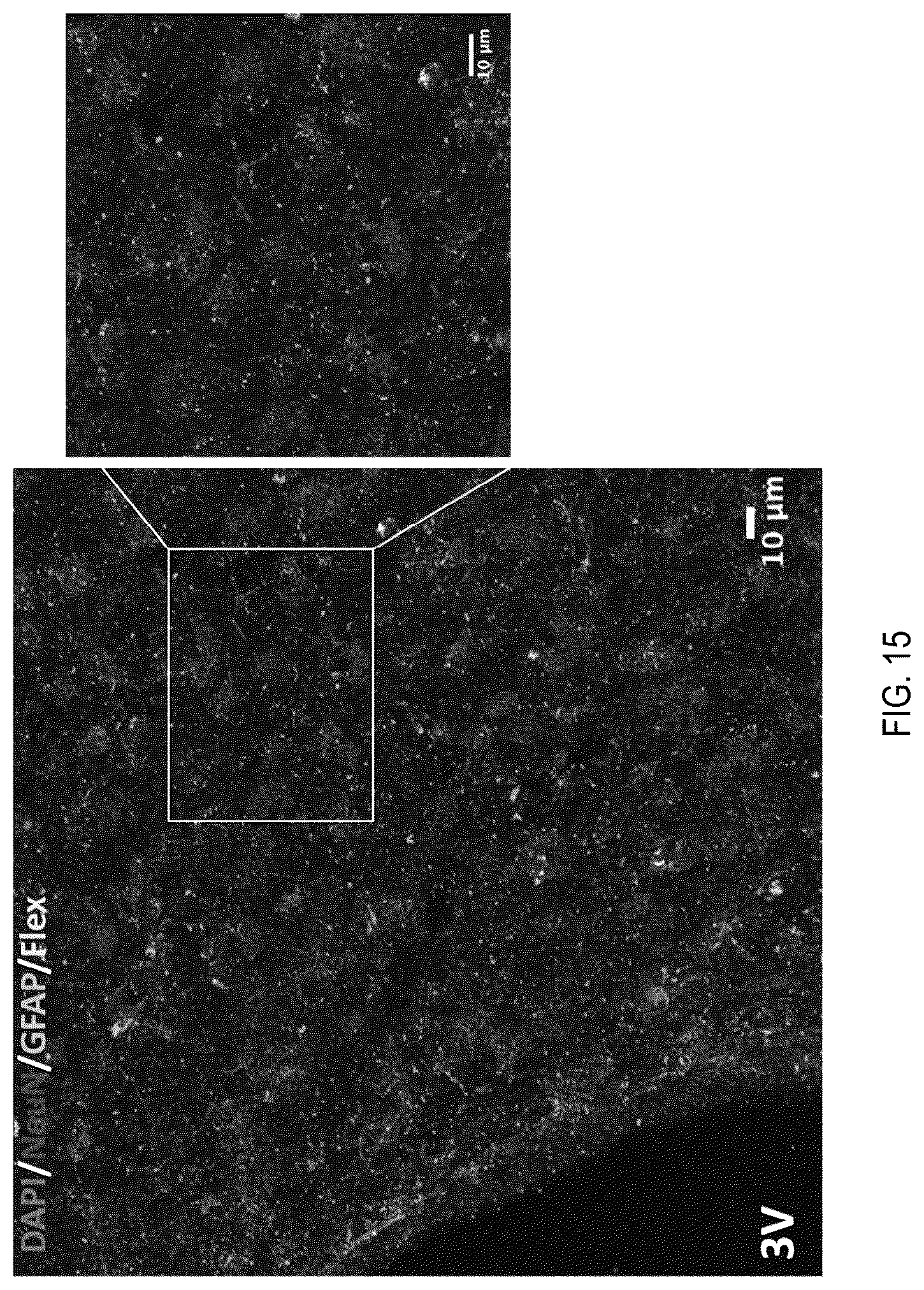 Patent US12090208 Figure 15 – Peptide drug improvement using vitamin B 12 and Haptocorrin binding substrate conjugates