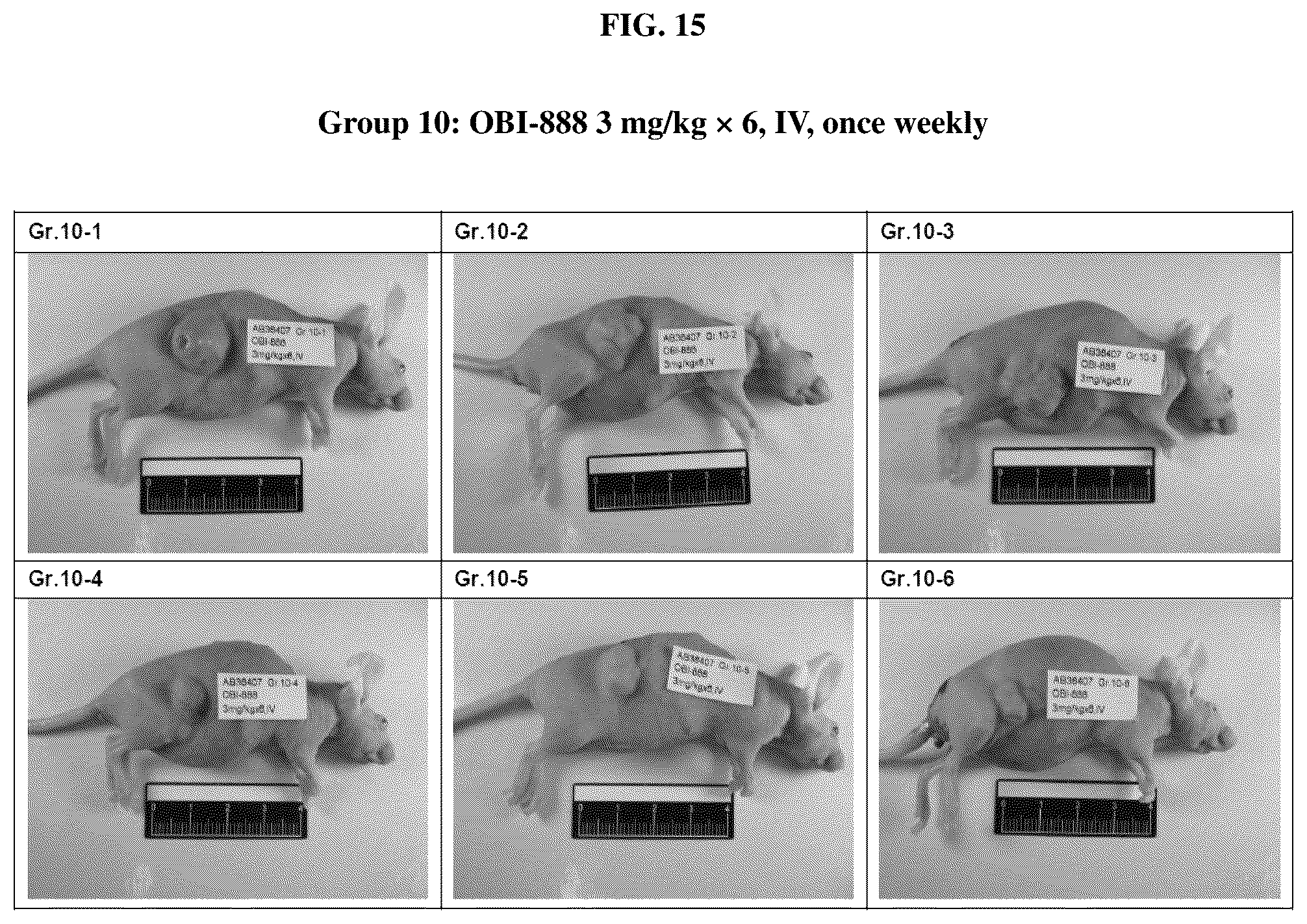 Patent US12090212 Figure 17 – Conjugated biological molecules, pharmaceutical compositions and methods