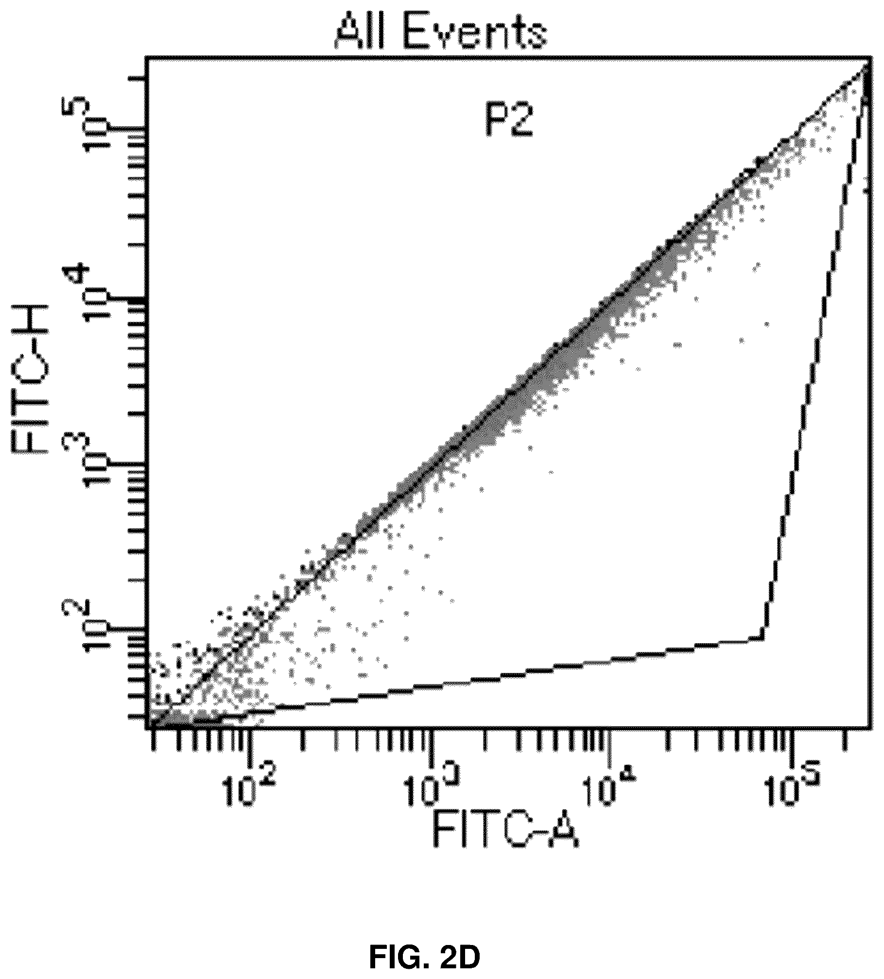 Patent US12090213 Figure 6 – Smart exosomes for active PDAC targeting and evading mononuclear phagocytotic system
