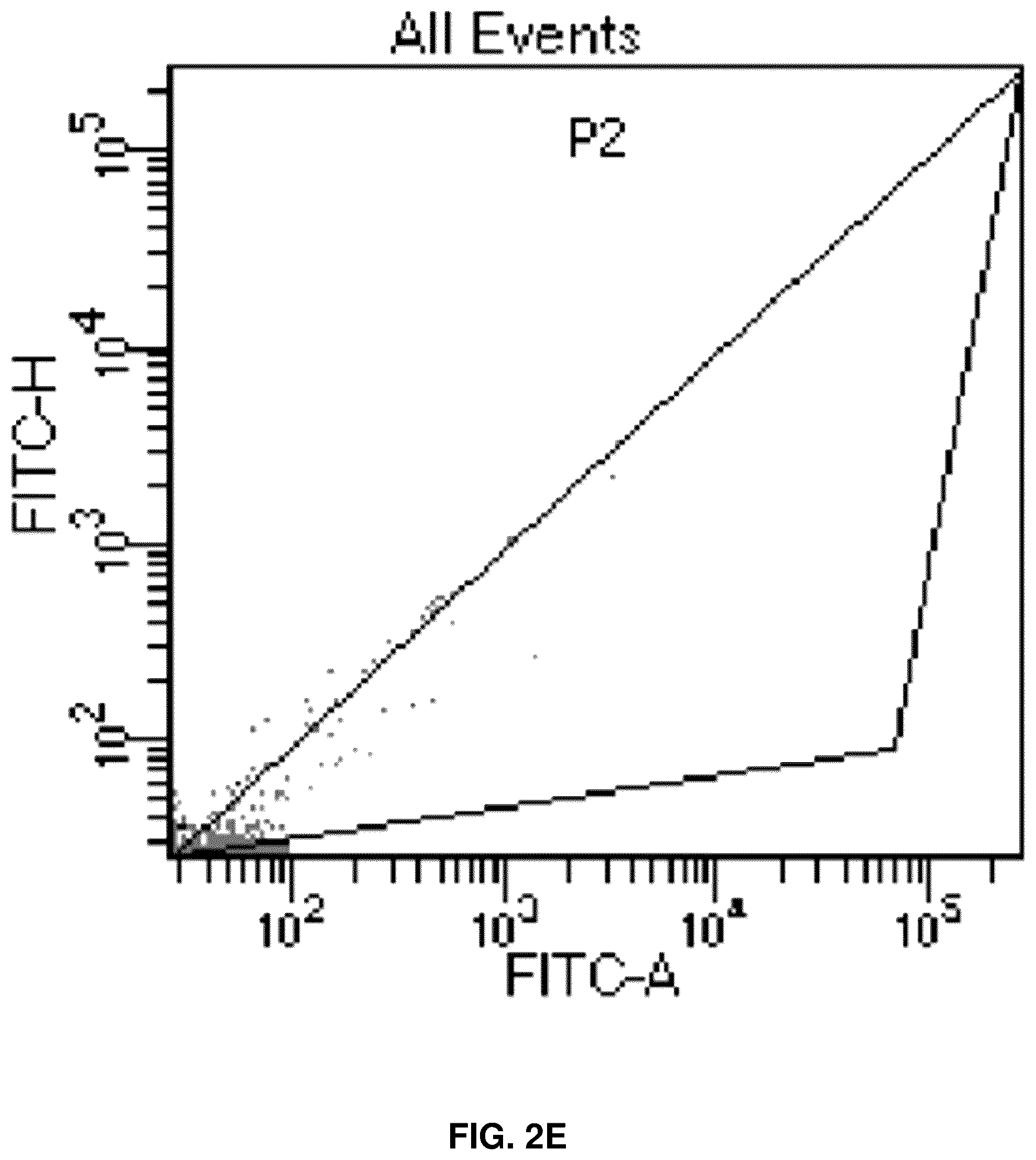 Patent US12090213 Figure 7 – Smart exosomes for active PDAC targeting and evading mononuclear phagocytotic system