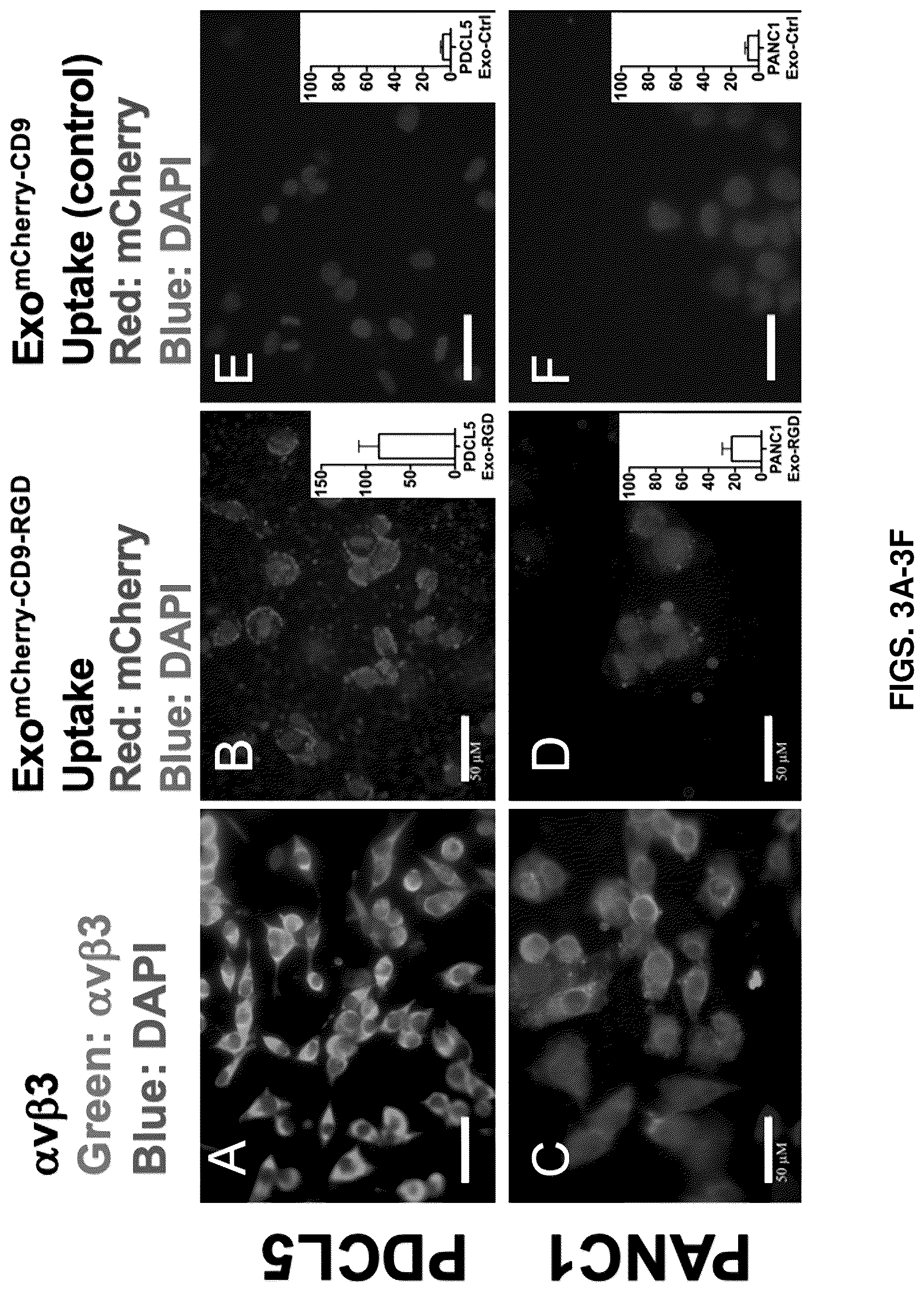 Patent US12090213 Figure 10 – Smart exosomes for active PDAC targeting and evading mononuclear phagocytotic system