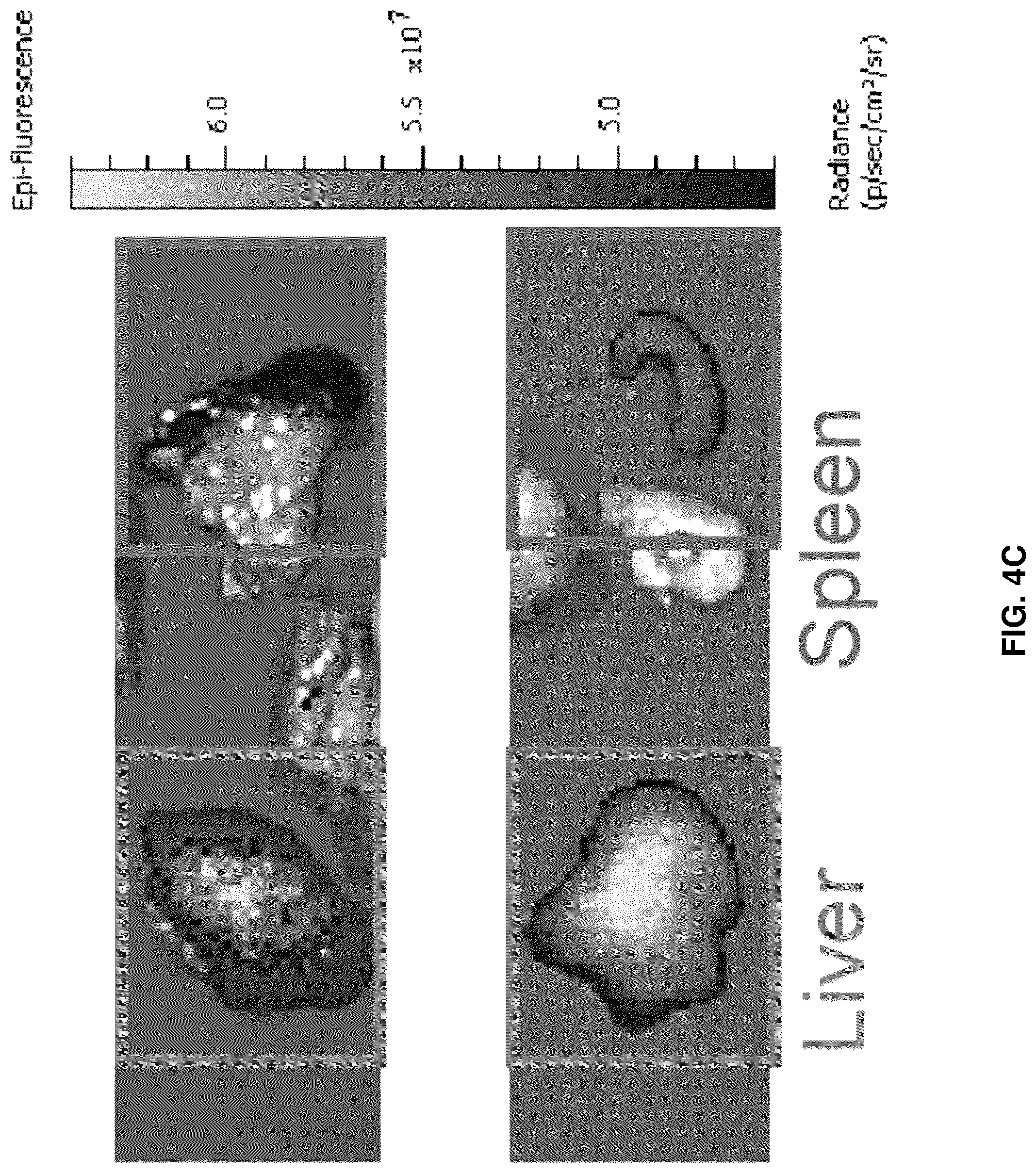 Patent US12090213 Figure 14 – Smart exosomes for active PDAC targeting and evading mononuclear phagocytotic system