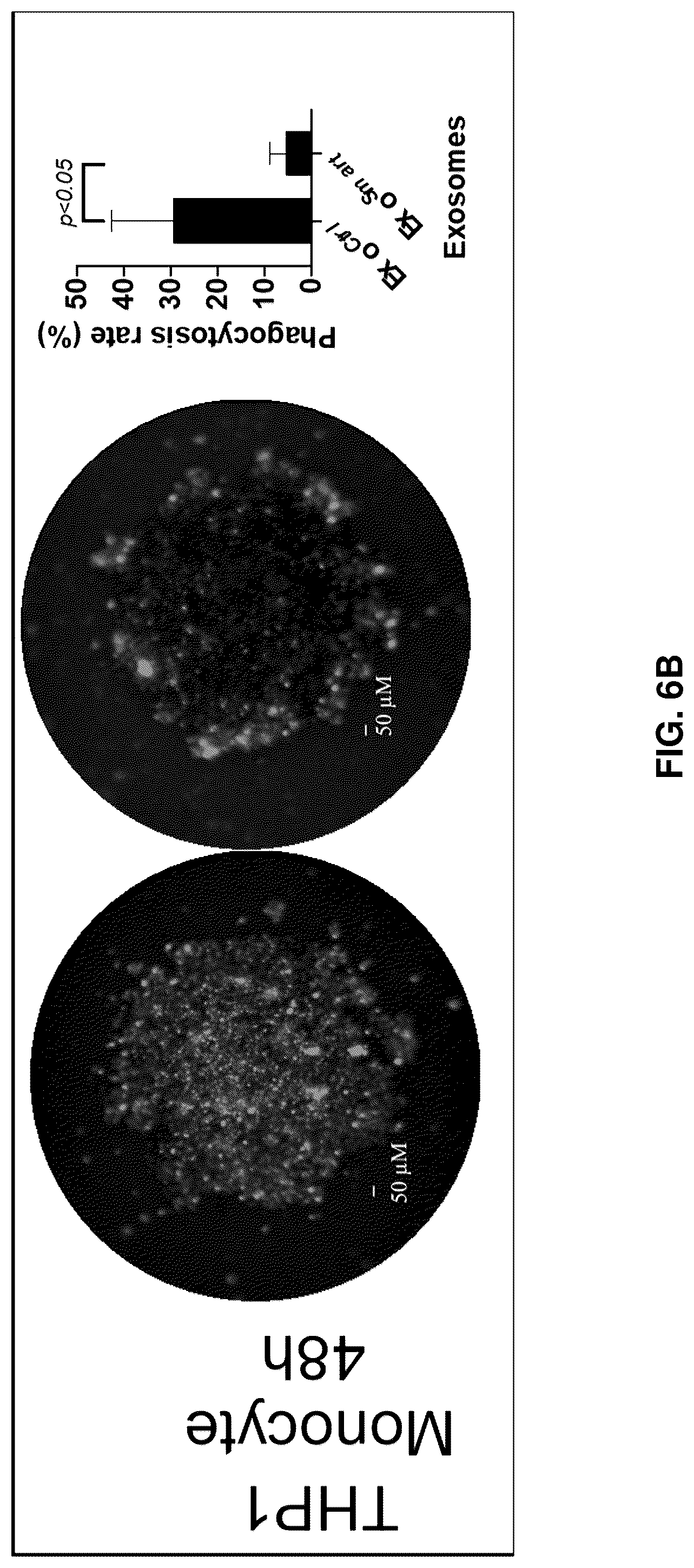 Patent US12090213 Figure 19 – Smart exosomes for active PDAC targeting and evading mononuclear phagocytotic system