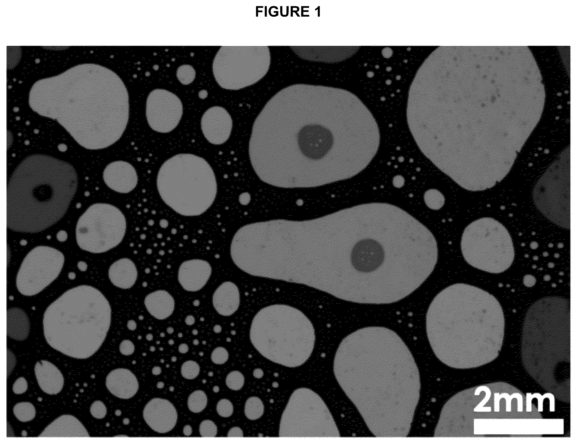 Patent US12090217 Figure 1 – Makeup setting mousse