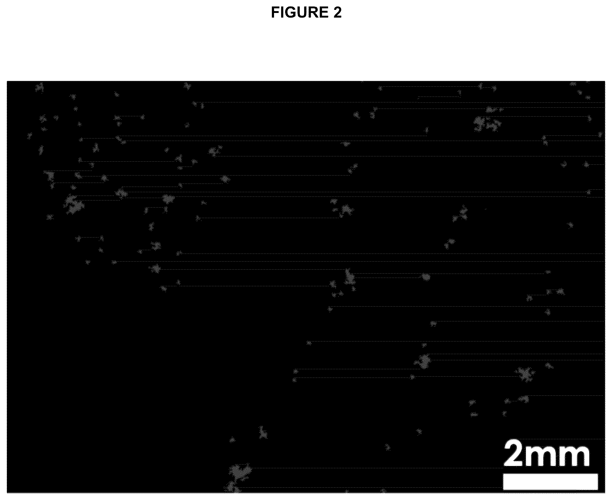 Patent US12090217 Figure 2 – Makeup setting mousse