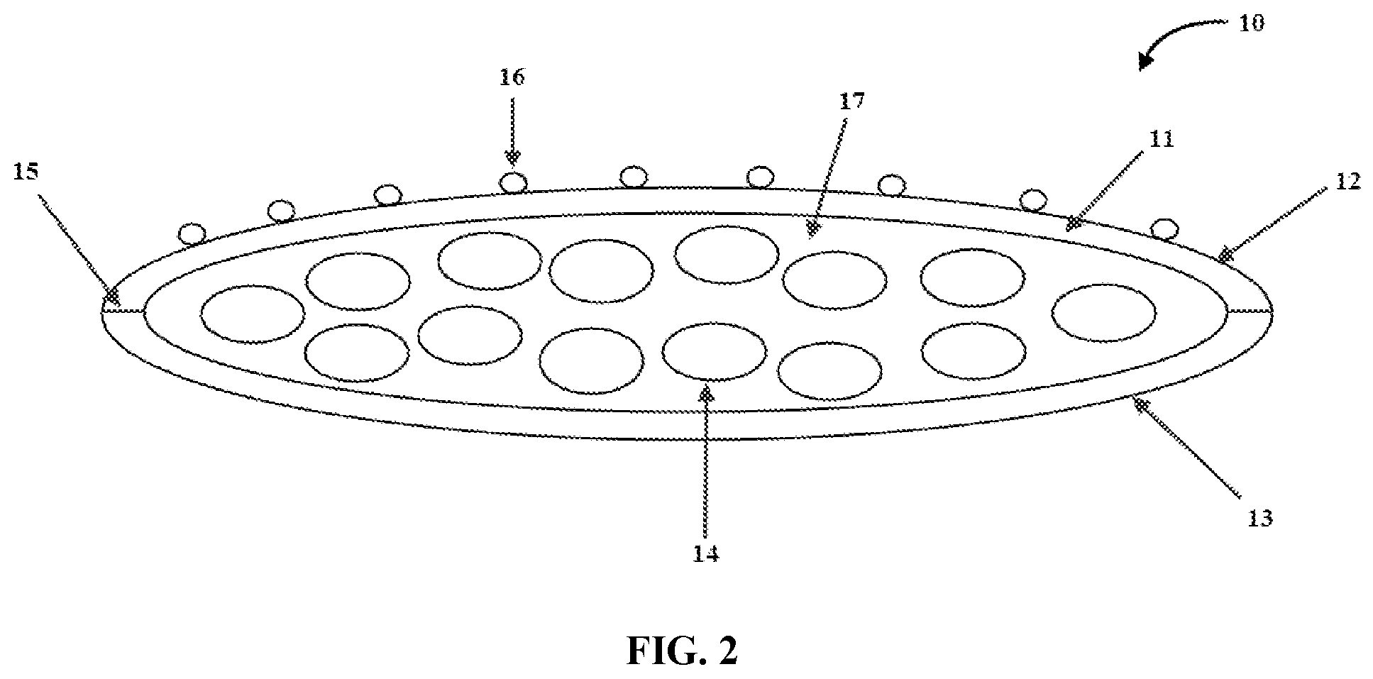 Patent US12090219 Figure 2 – Delivery of active ingredients from plant materials to skin