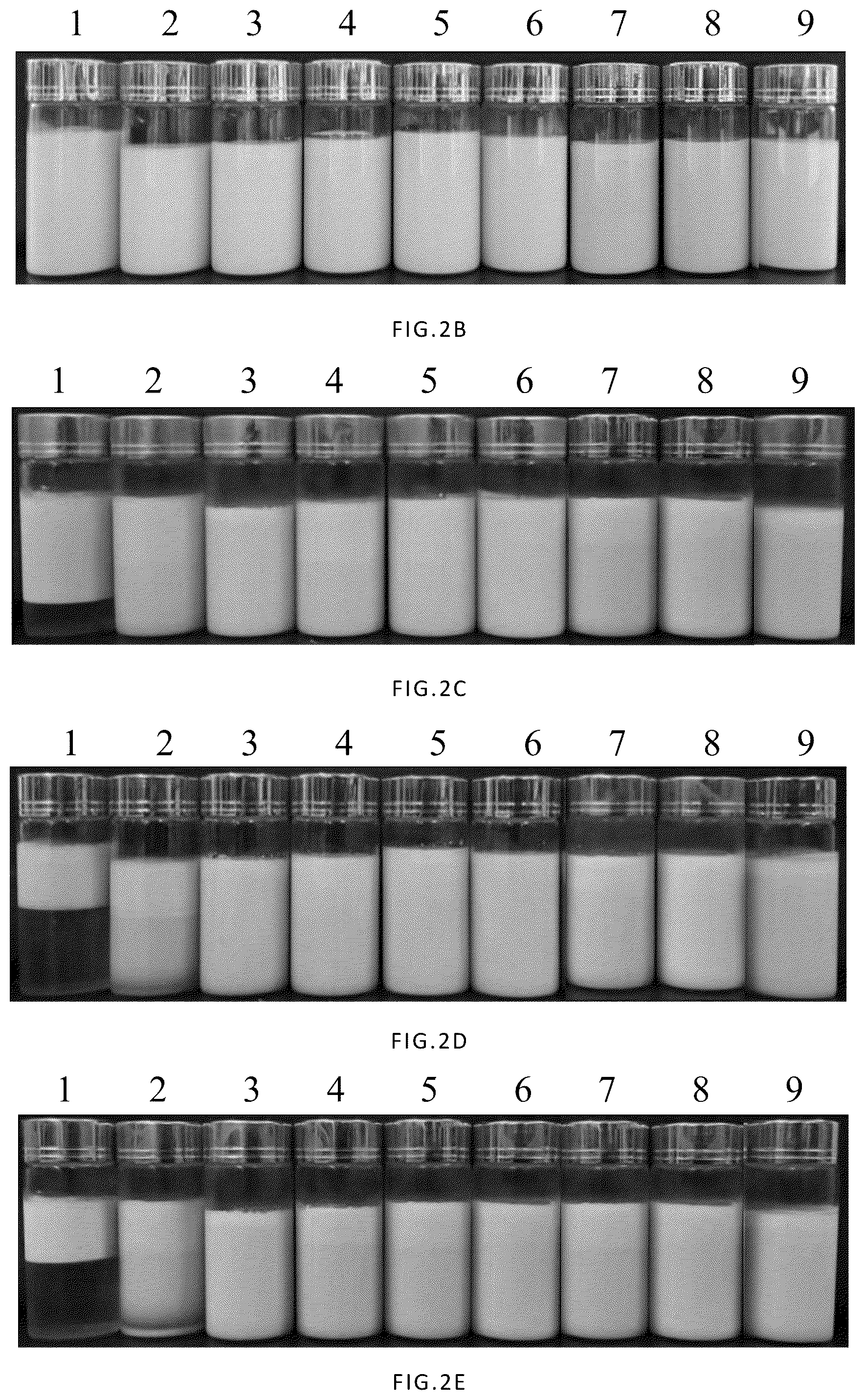 Patent US12090227 Figure 4 – Method to improve the encapsulation efficiency and physicochemical stability of ginsenosides Rg3 and CK nano-emulsion