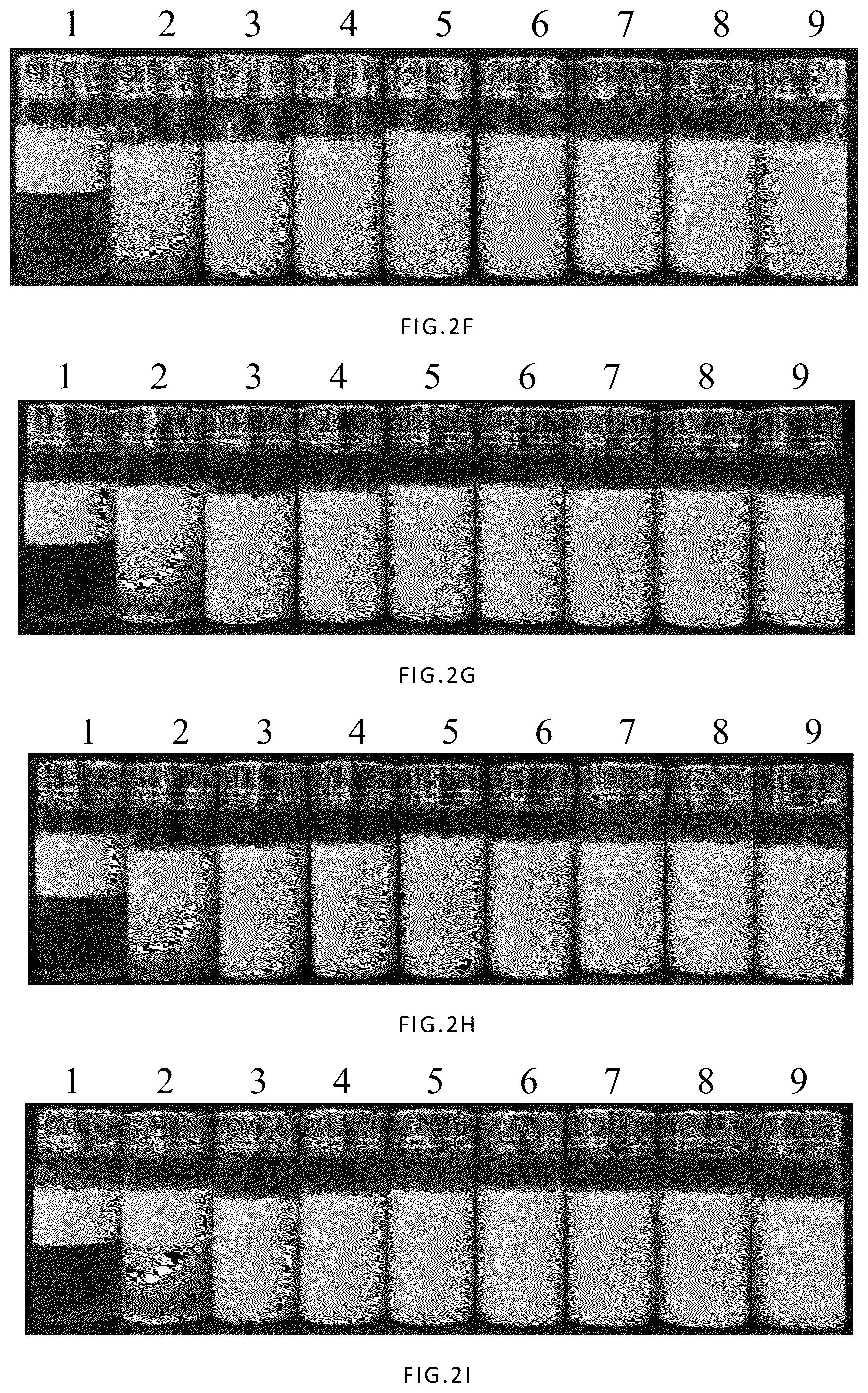 Patent US12090227 Figure 5 – Method to improve the encapsulation efficiency and physicochemical stability of ginsenosides Rg3 and CK nano-emulsion