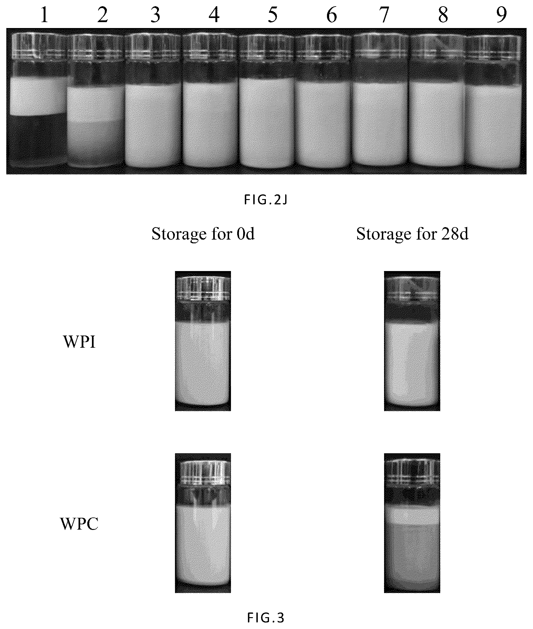 Patent US12090227 Figure 6 – Method to improve the encapsulation efficiency and physicochemical stability of ginsenosides Rg3 and CK nano-emulsion