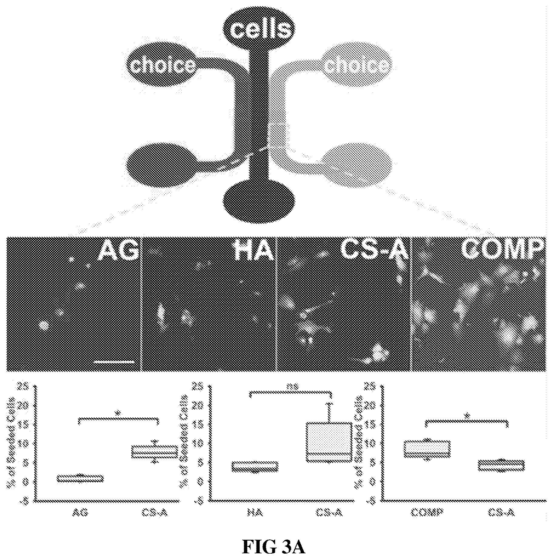 Patent US12090229 Figure 4 – Chondroitin sulfate glycosaminoglycan hydrogel matrices for the treatment of traumatic brain injury