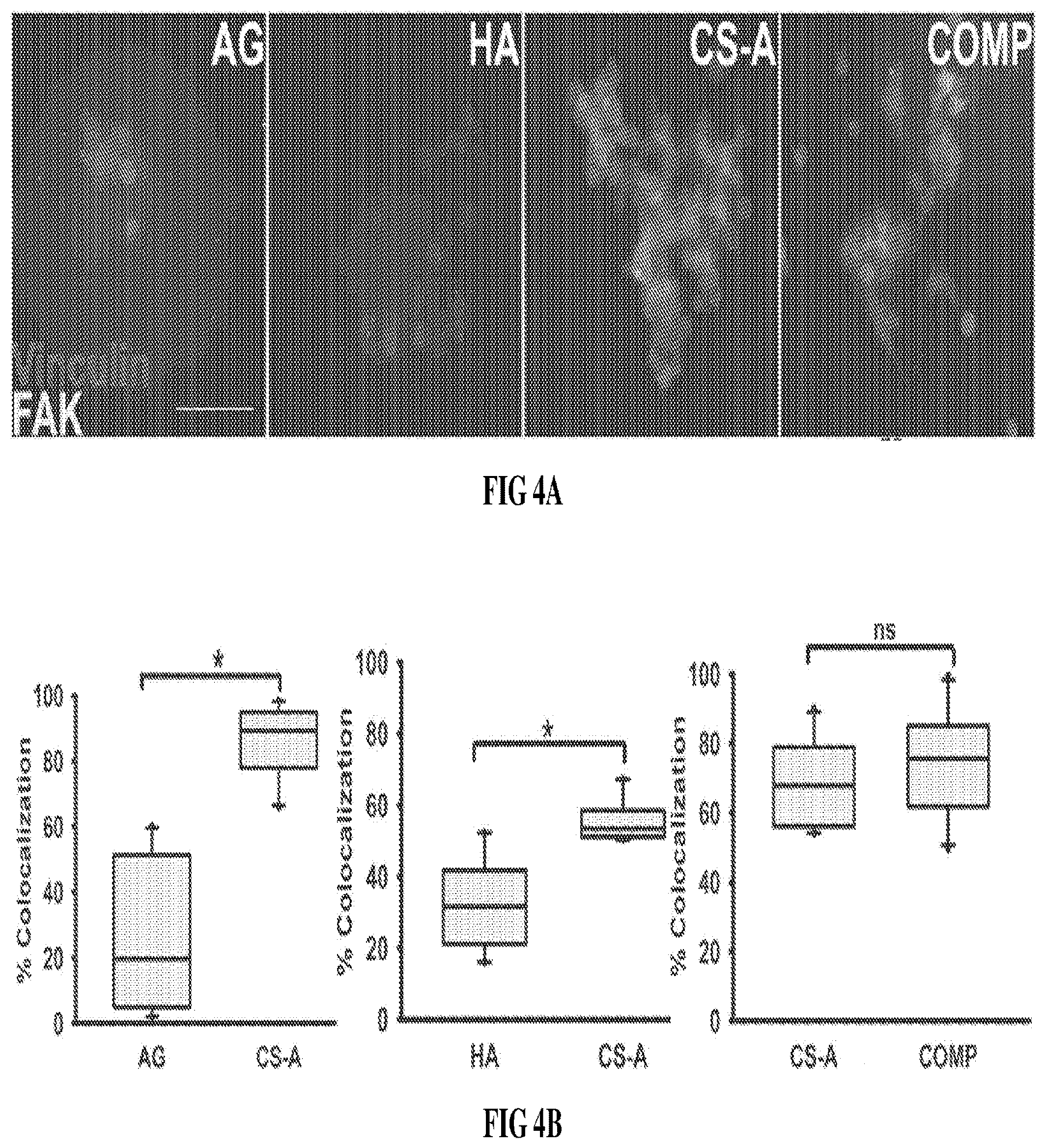 Patent US12090229 Figure 6 – Chondroitin sulfate glycosaminoglycan hydrogel matrices for the treatment of traumatic brain injury