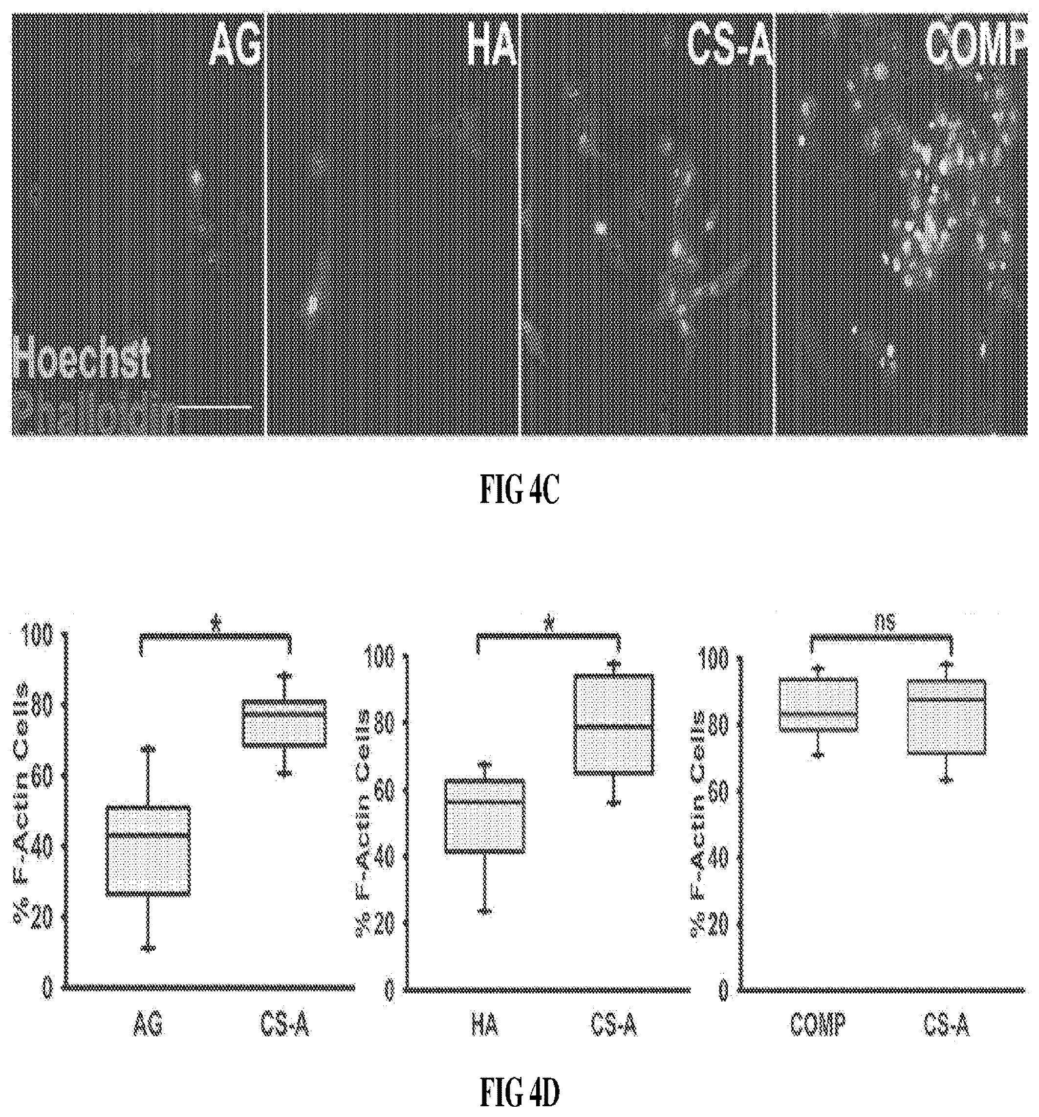 Patent US12090229 Figure 7 – Chondroitin sulfate glycosaminoglycan hydrogel matrices for the treatment of traumatic brain injury