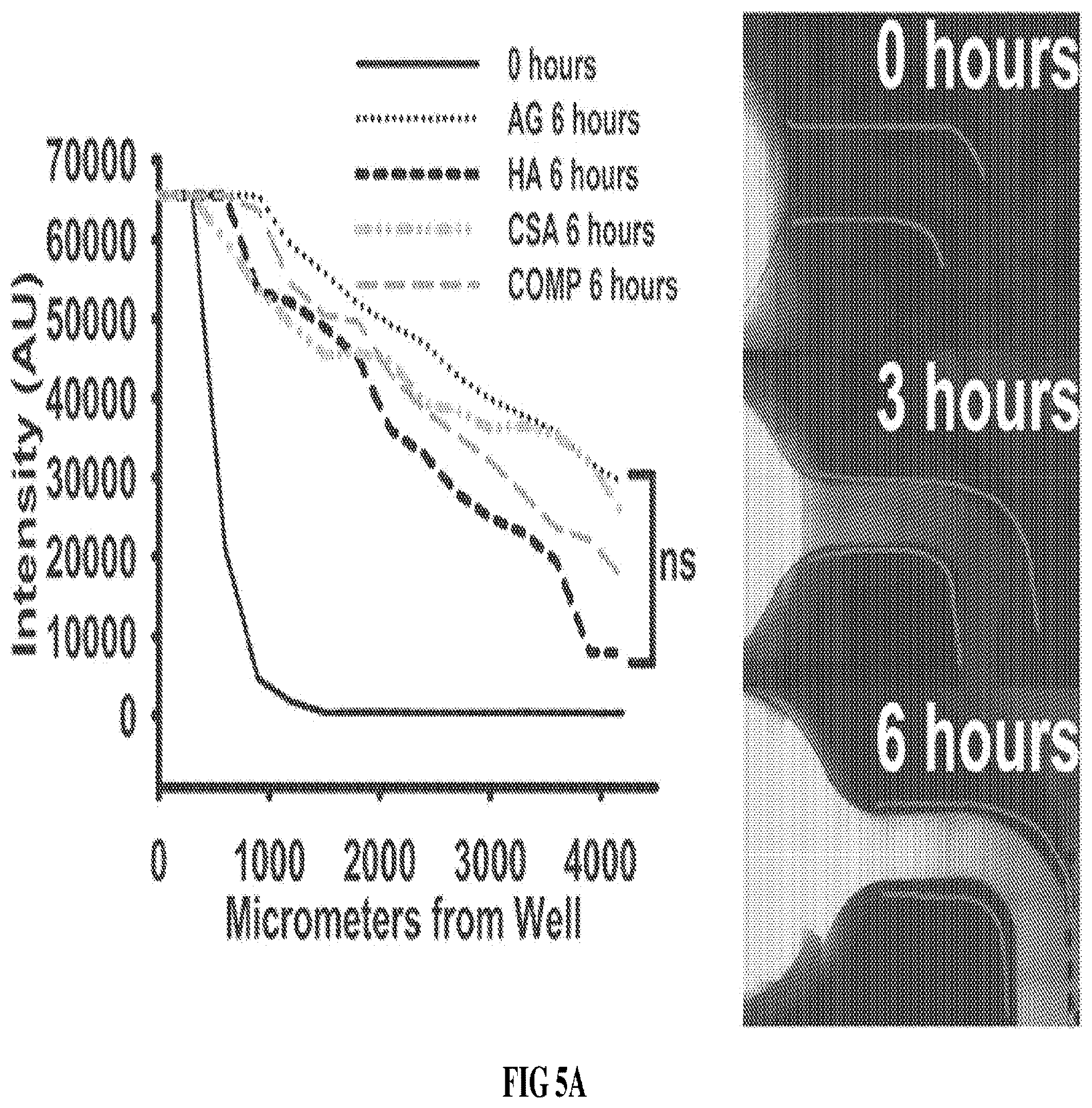 Patent US12090229 Figure 8 – Chondroitin sulfate glycosaminoglycan hydrogel matrices for the treatment of traumatic brain injury