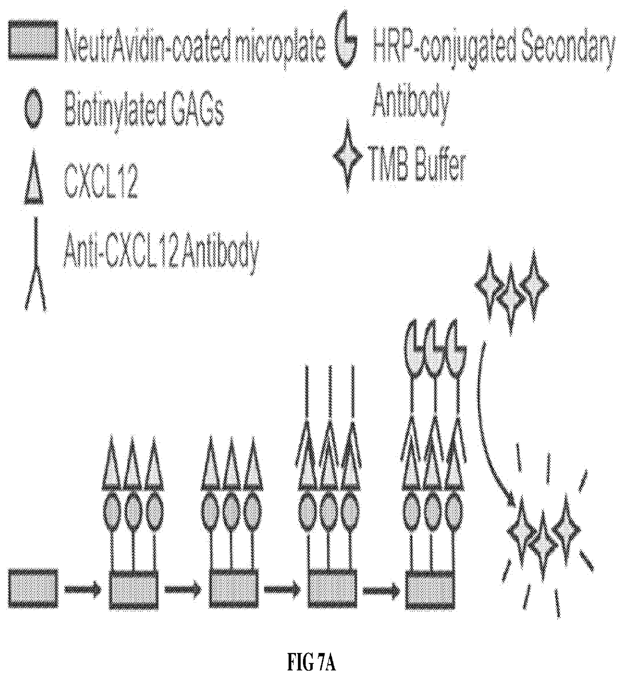 Patent US12090229 Figure 11 – Chondroitin sulfate glycosaminoglycan hydrogel matrices for the treatment of traumatic brain injury