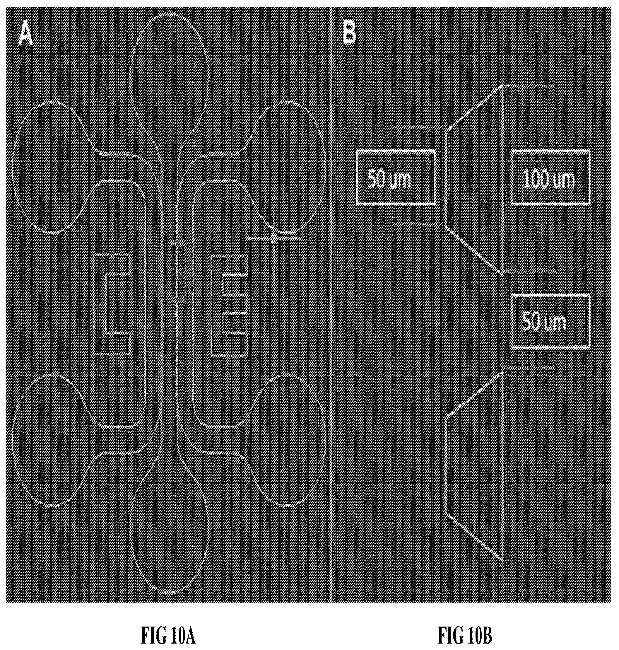 Patent US12090229 Figure 16 – Chondroitin sulfate glycosaminoglycan hydrogel matrices for the treatment of traumatic brain injury