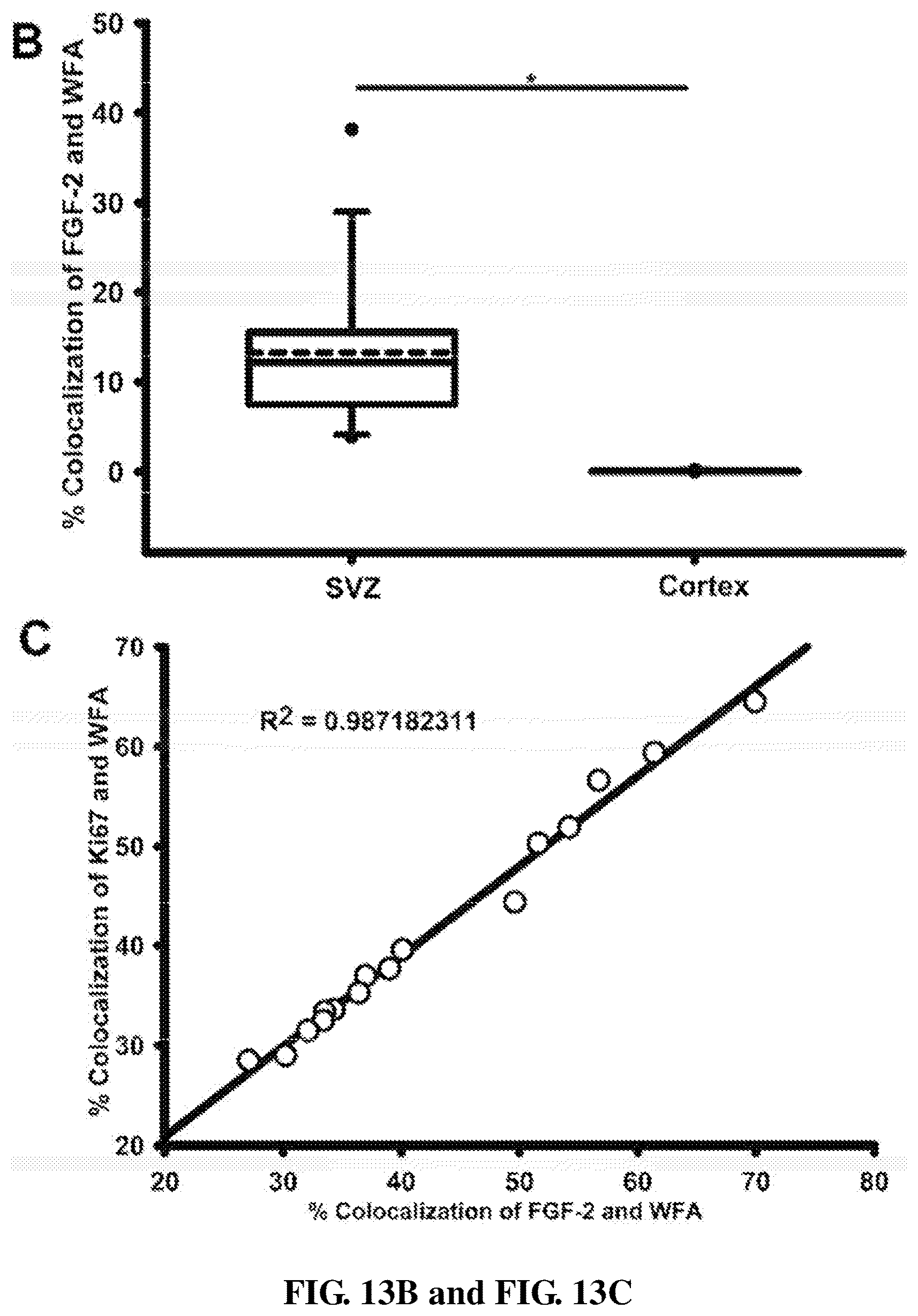 Patent US12090229 Figure 20 – Chondroitin sulfate glycosaminoglycan hydrogel matrices for the treatment of traumatic brain injury