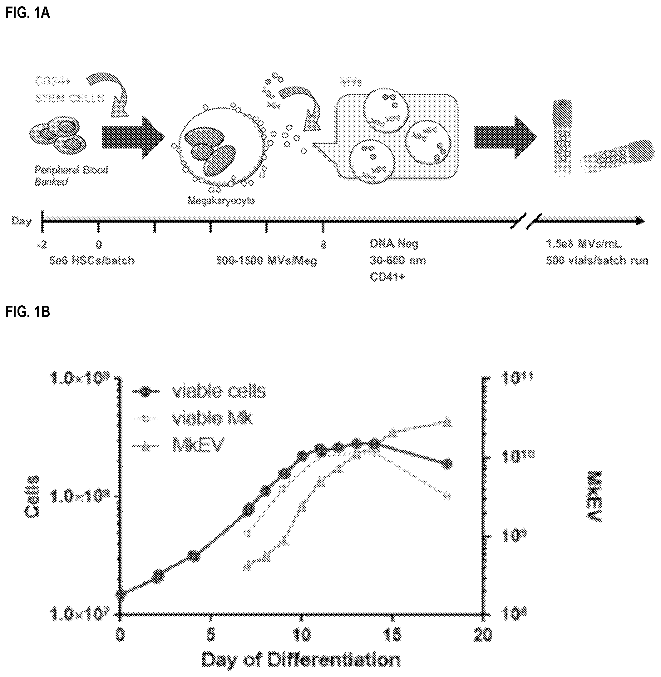 Patent US12090234 — Compositions and methods related to megakaryocyte-derived extracellular vesicles — Figure 1