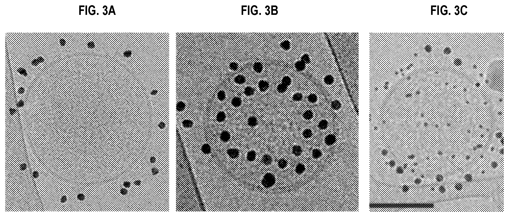 Patent US12090234 Figure 8 – Compositions and methods related to megakaryocyte-derived extracellular vesicles