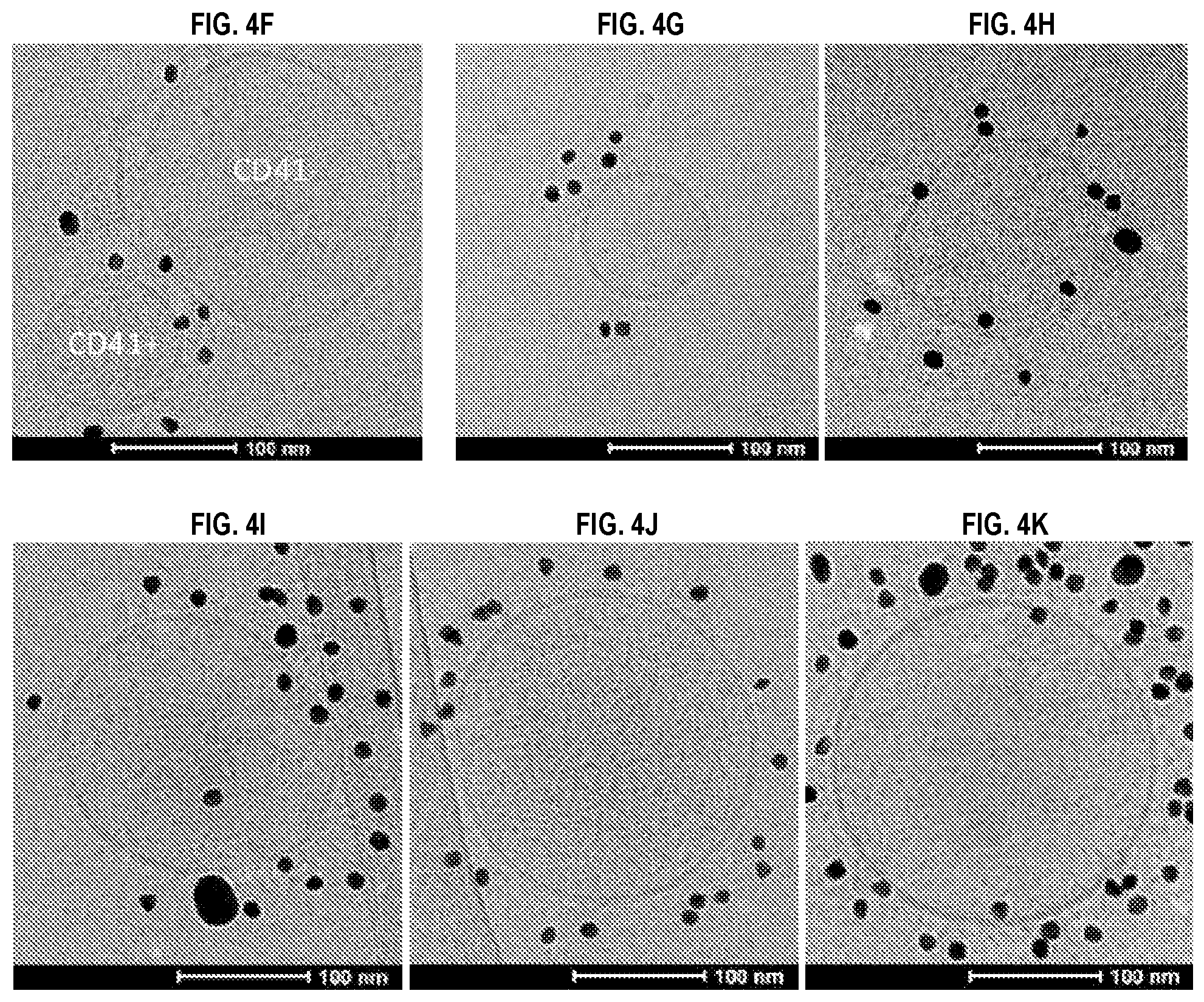 Patent US12090234 Figure 12 – Compositions and methods related to megakaryocyte-derived extracellular vesicles