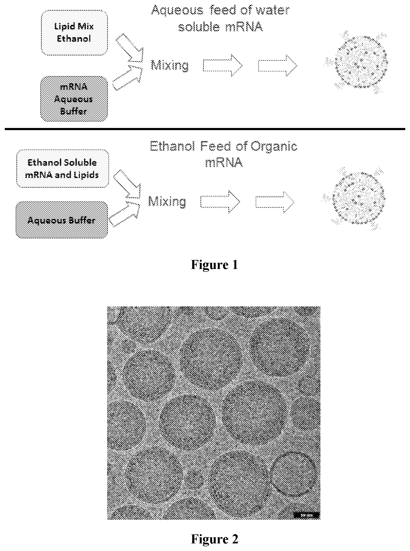 Patent US12090235 Figure 1 – Preparation of lipid nanoparticles and methods of administration thereof