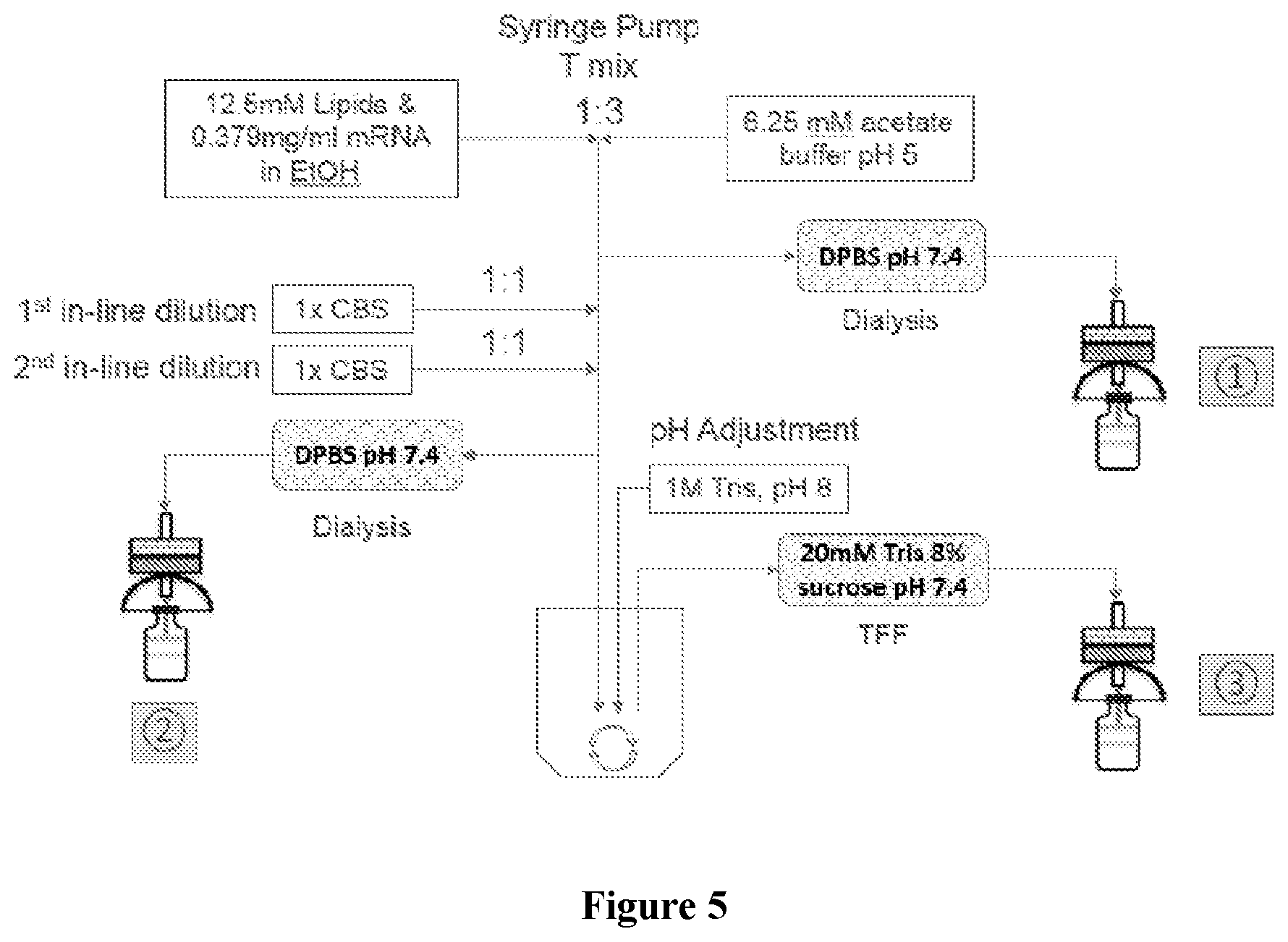 Patent US12090235 Figure 4 – Preparation of lipid nanoparticles and methods of administration thereof