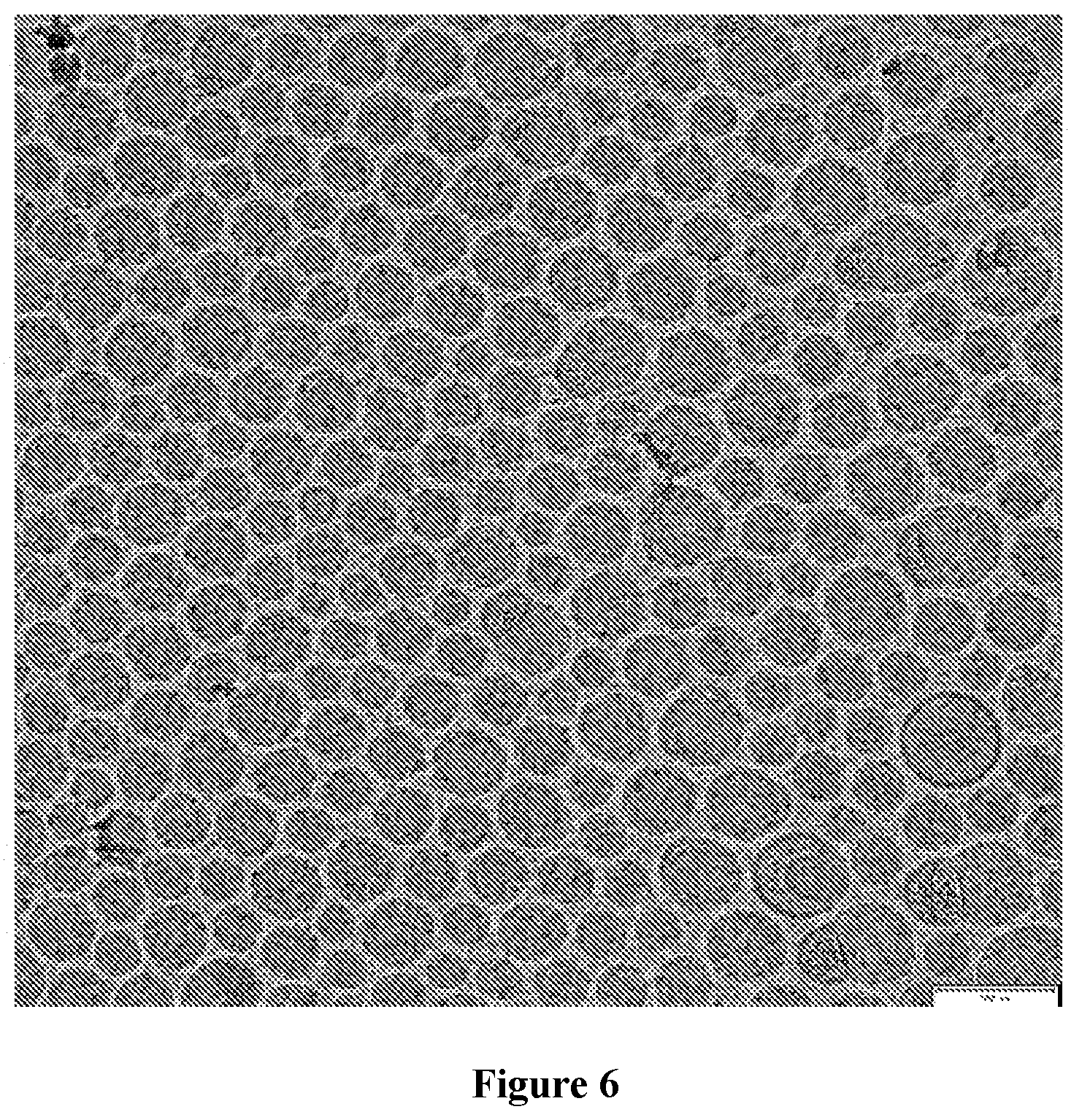 Patent US12090235 Figure 5 – Preparation of lipid nanoparticles and methods of administration thereof