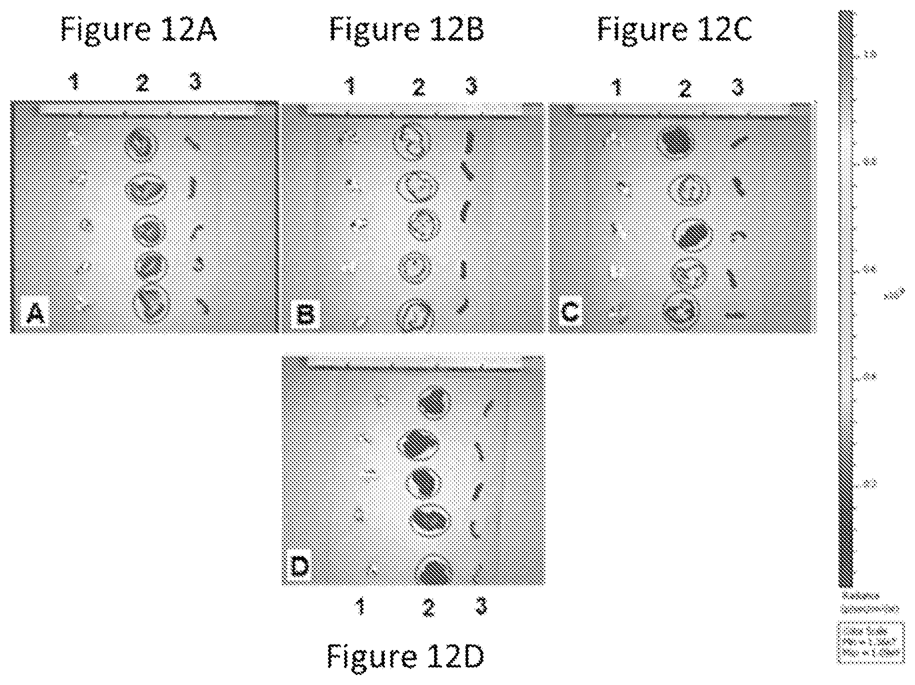 Patent US12090235 Figure 10 – Preparation of lipid nanoparticles and methods of administration thereof