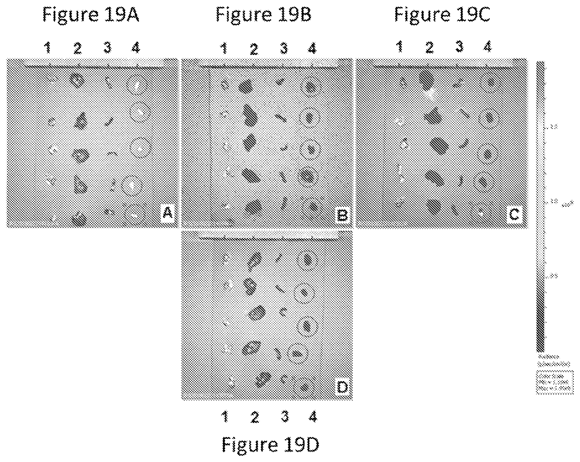 Patent US12090235 Figure 16 – Preparation of lipid nanoparticles and methods of administration thereof