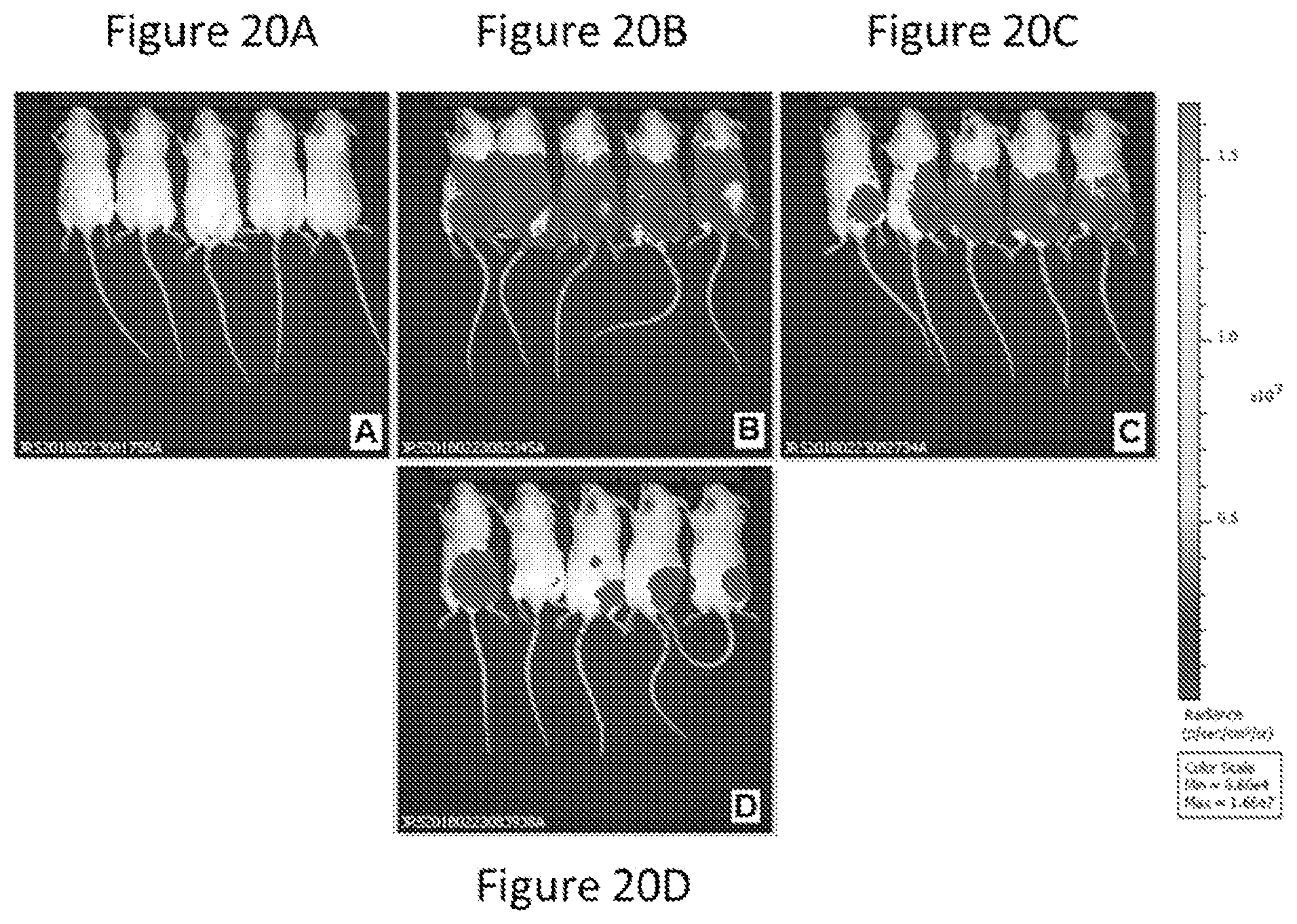 Patent US12090235 Figure 17 – Preparation of lipid nanoparticles and methods of administration thereof