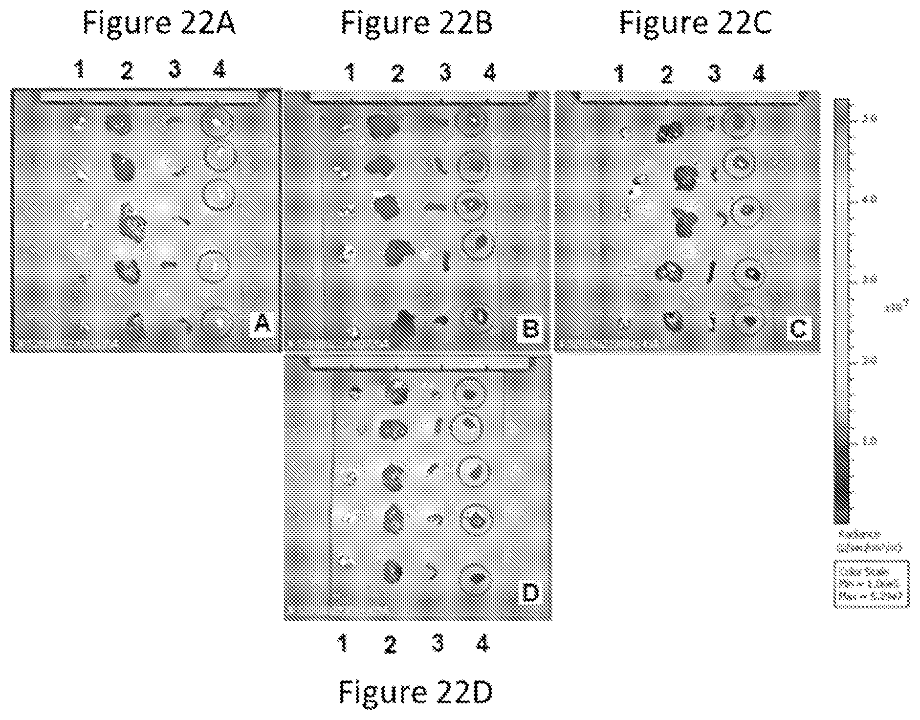 Patent US12090235 Figure 19 – Preparation of lipid nanoparticles and methods of administration thereof