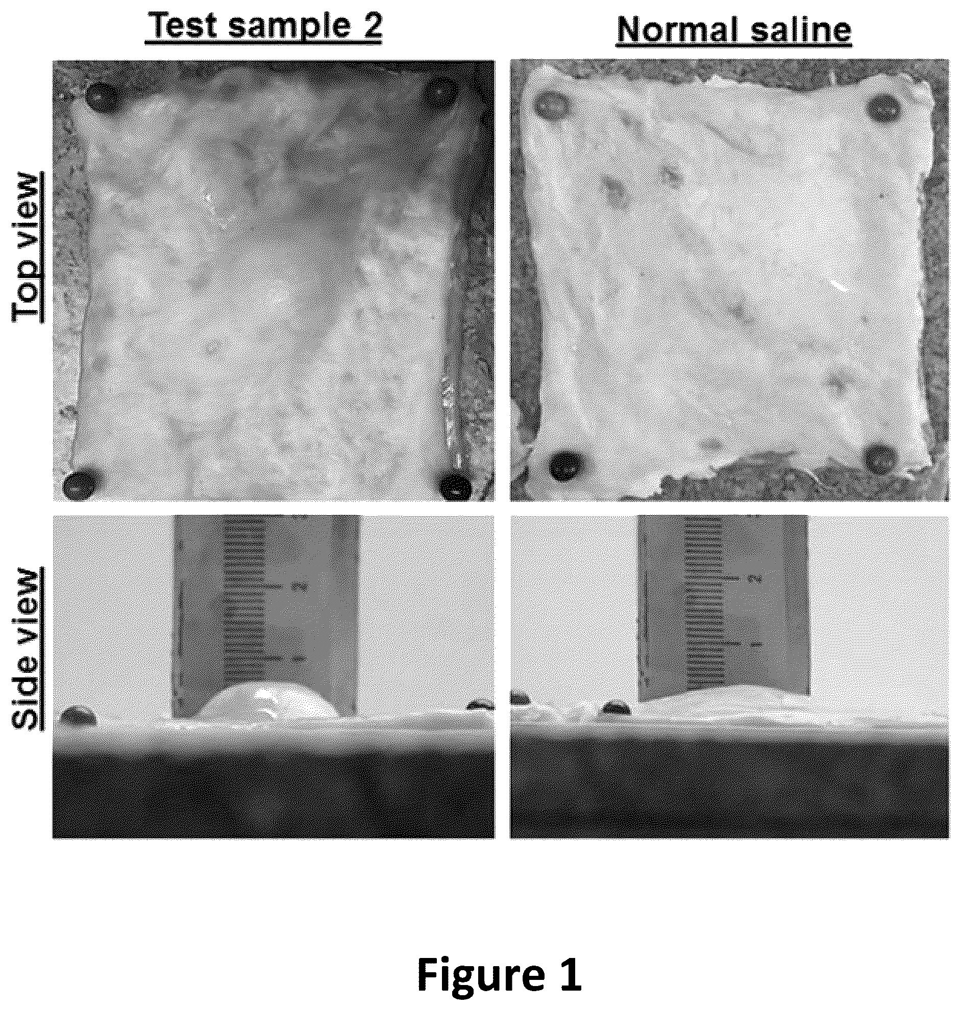 Patent US12090243 — Compositions comprising fluid gels for tissue separation — Figure 1