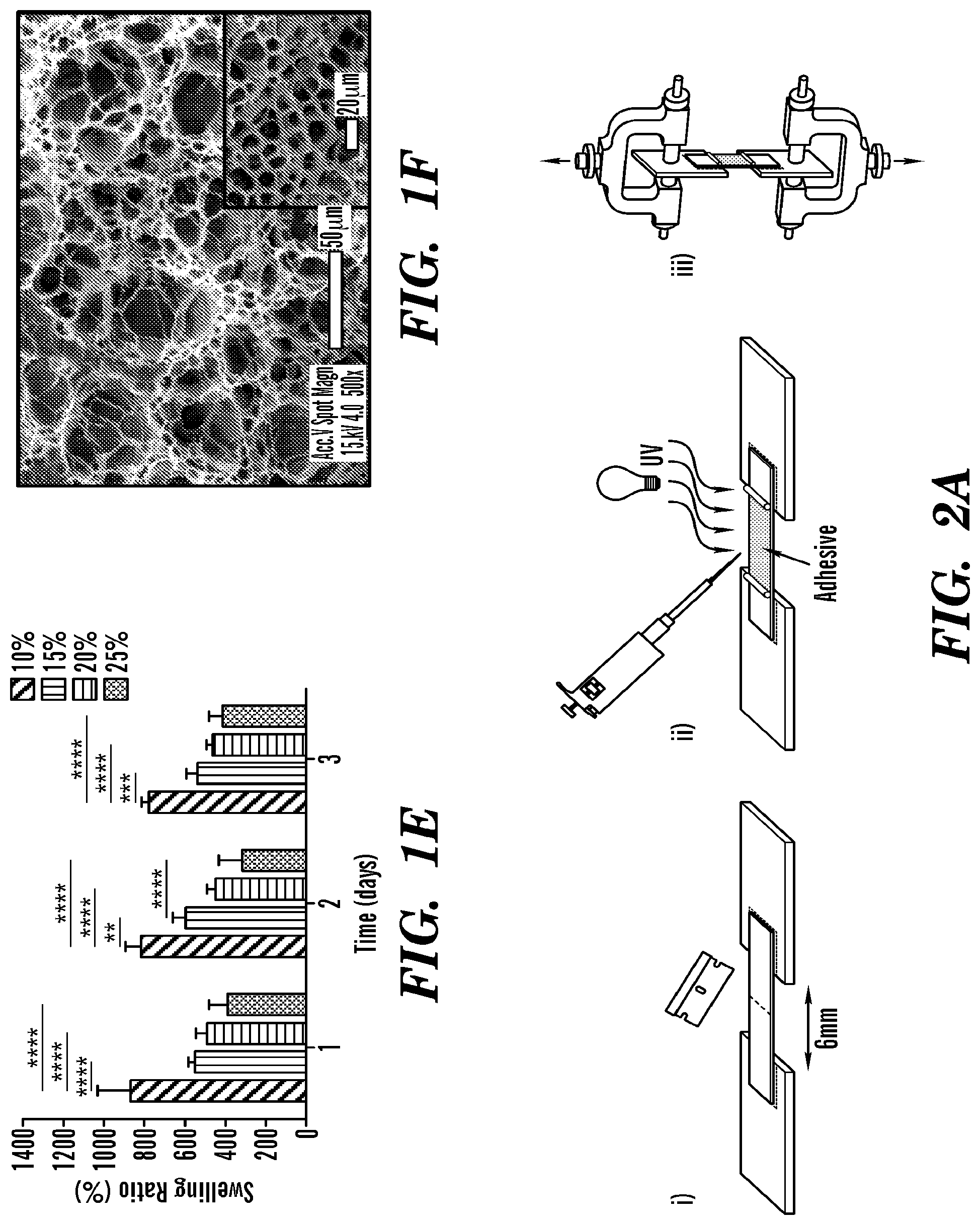 Patent US12090246 Figure 2 – Elastic biopolymer and use as a tissue adhesive