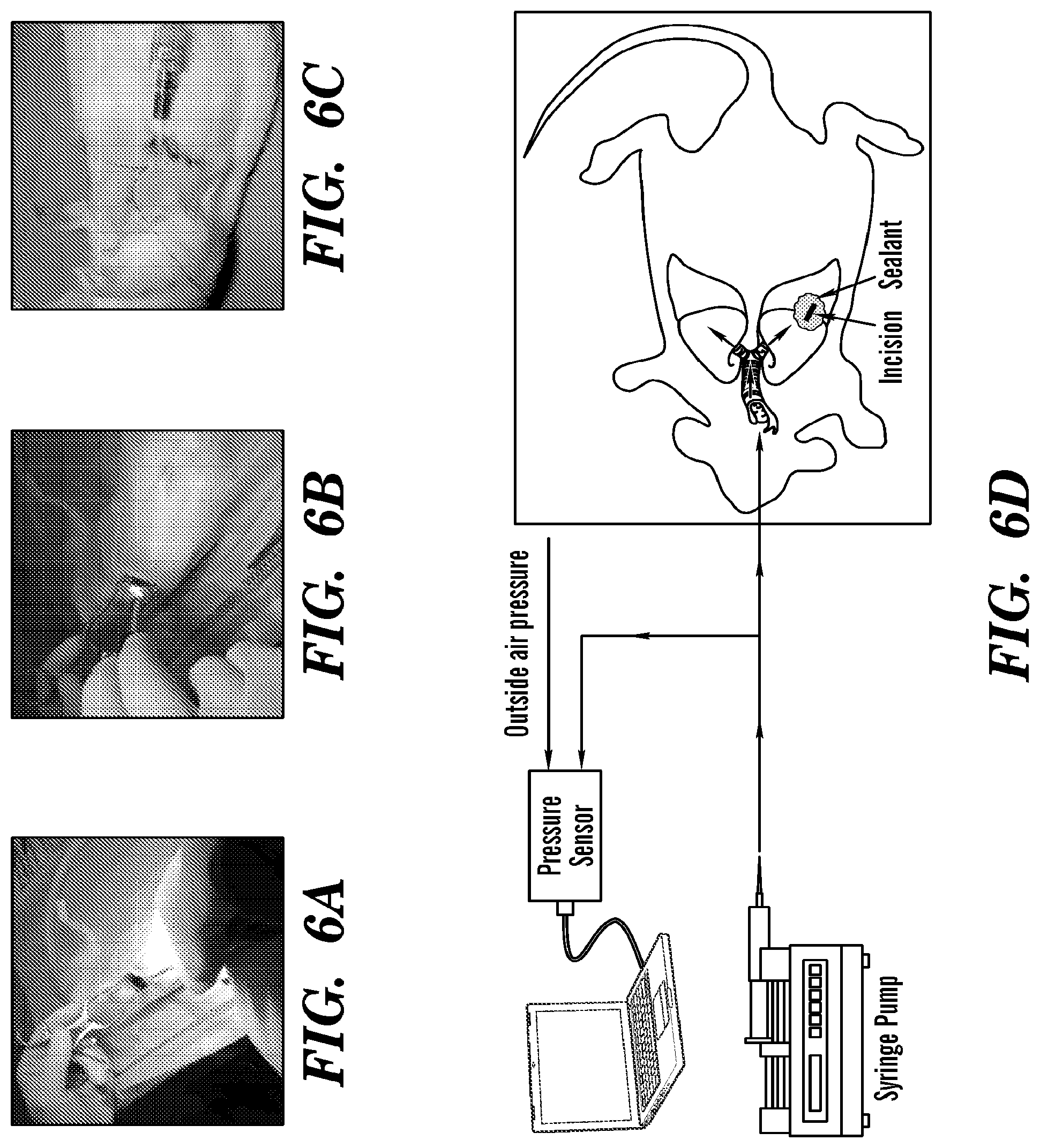 Patent US12090246 Figure 8 – Elastic biopolymer and use as a tissue adhesive