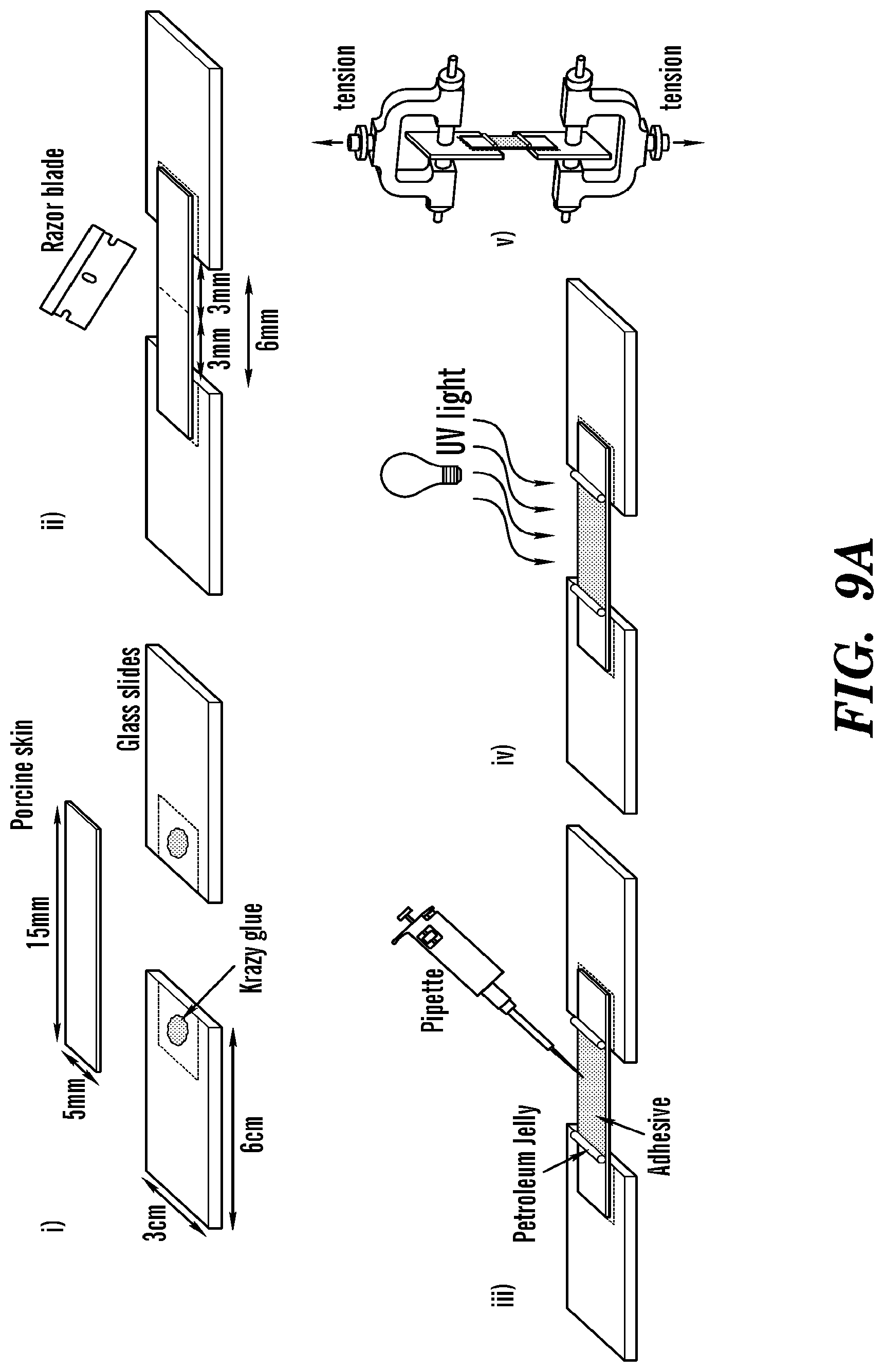Patent US12090246 Figure 13 – Elastic biopolymer and use as a tissue adhesive