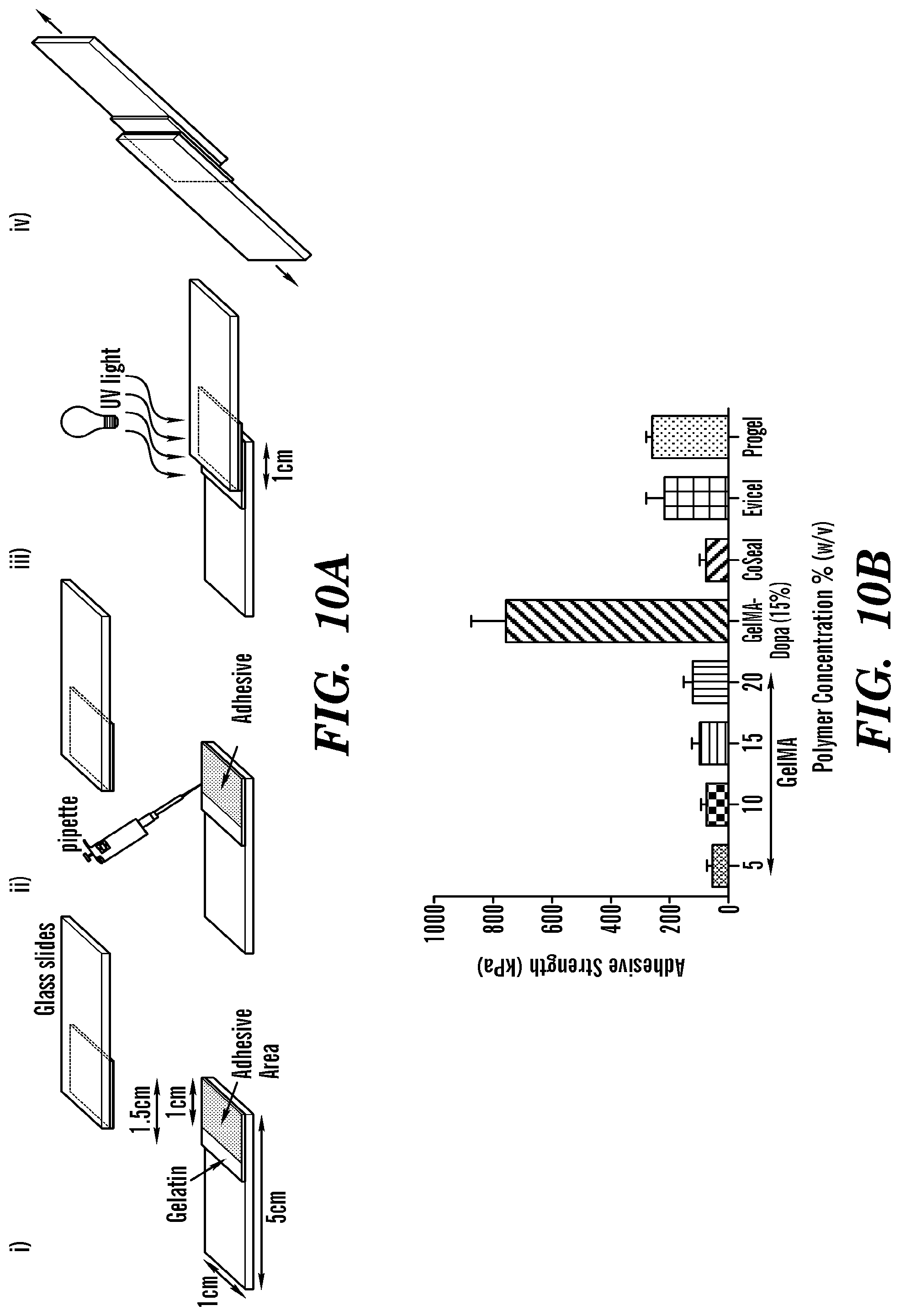 Patent US12090246 Figure 15 – Elastic biopolymer and use as a tissue adhesive