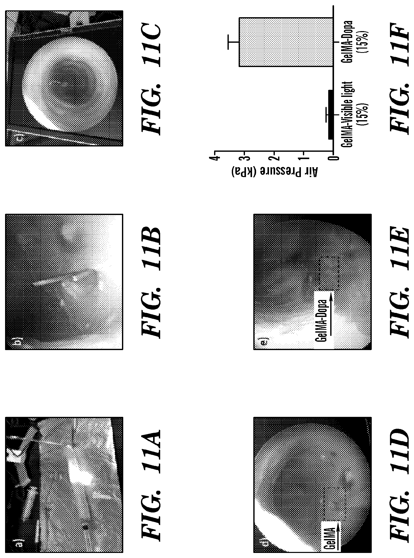 Patent US12090246 Figure 16 – Elastic biopolymer and use as a tissue adhesive