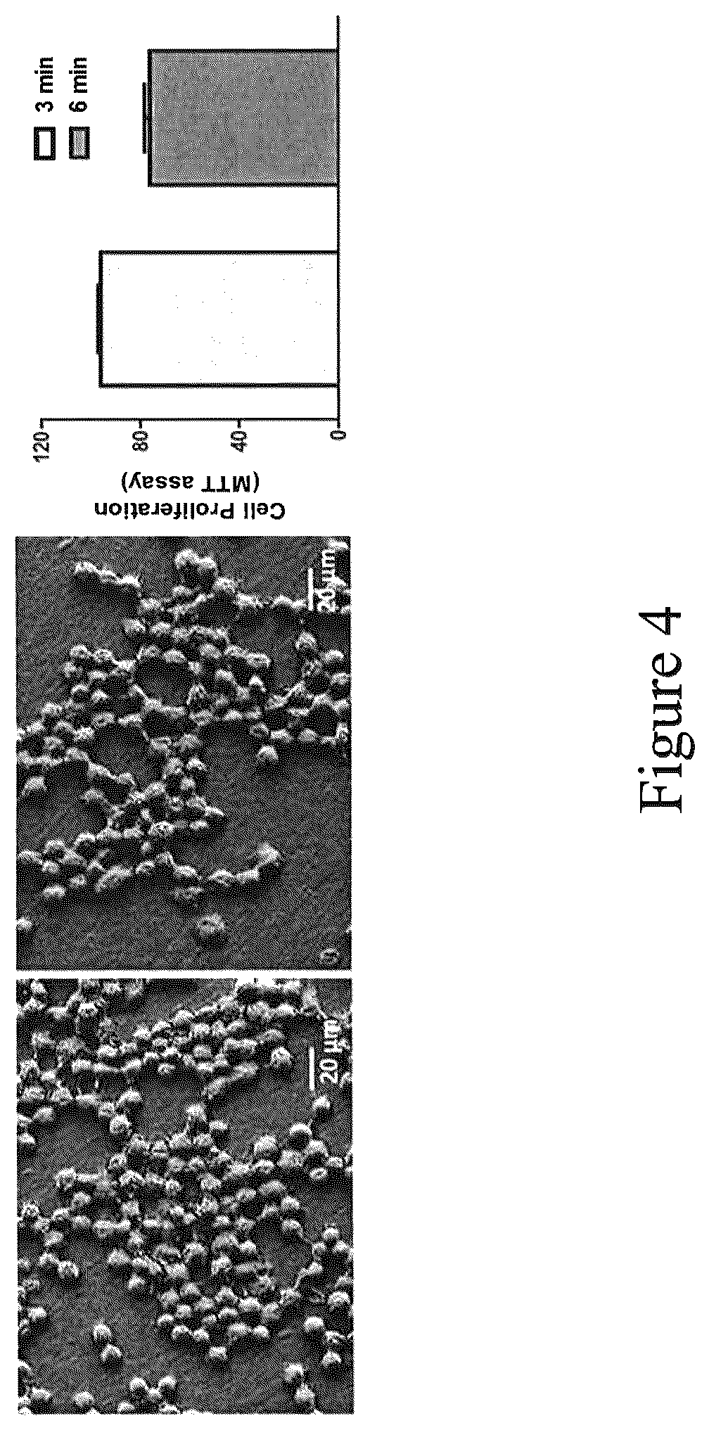 Patent US12090249 Figure 4 – Implant and coating to reduce osteolysis