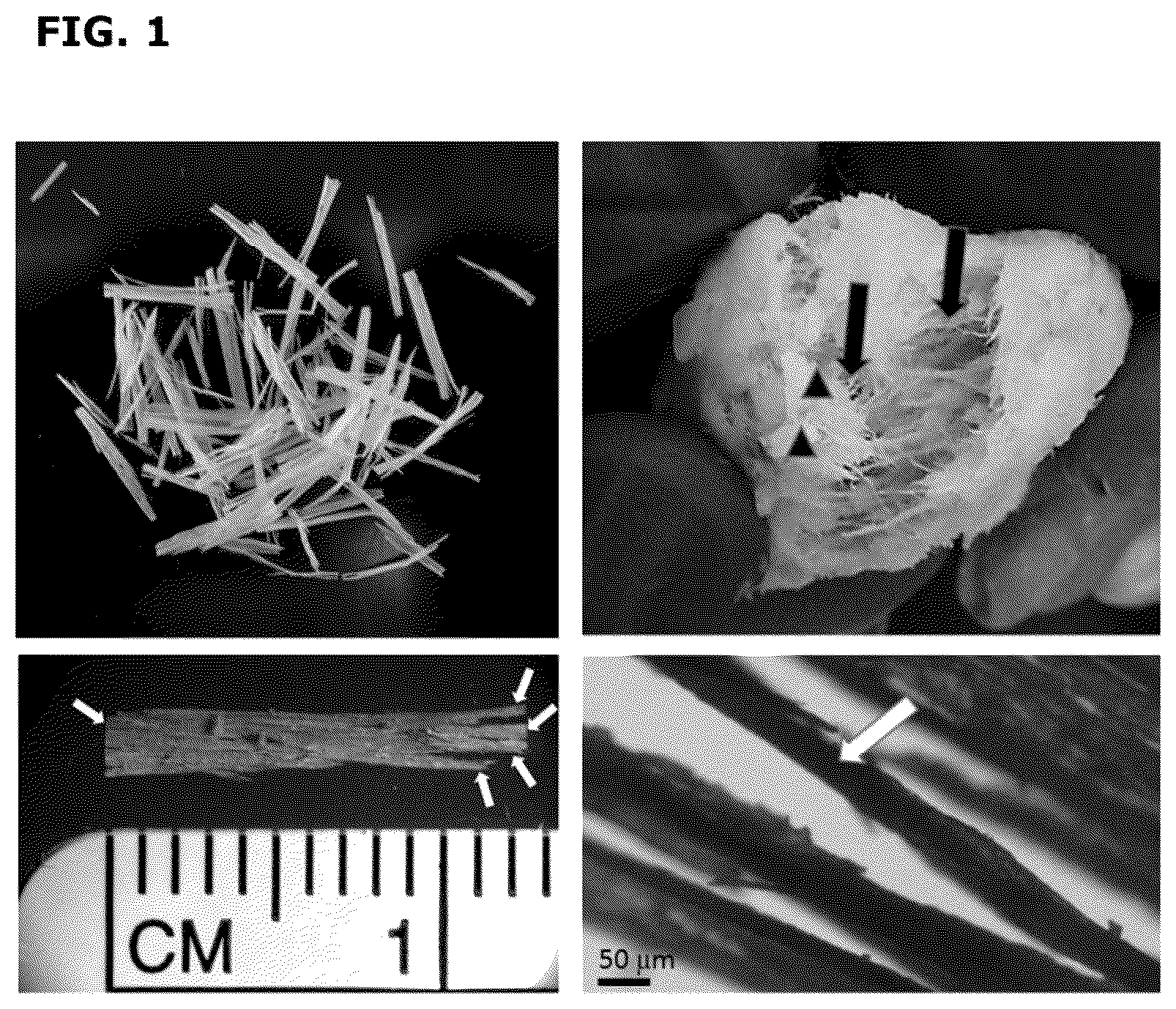 Patent US12090250 Figure 1 – Demineralized bone fibers and preparation thereof