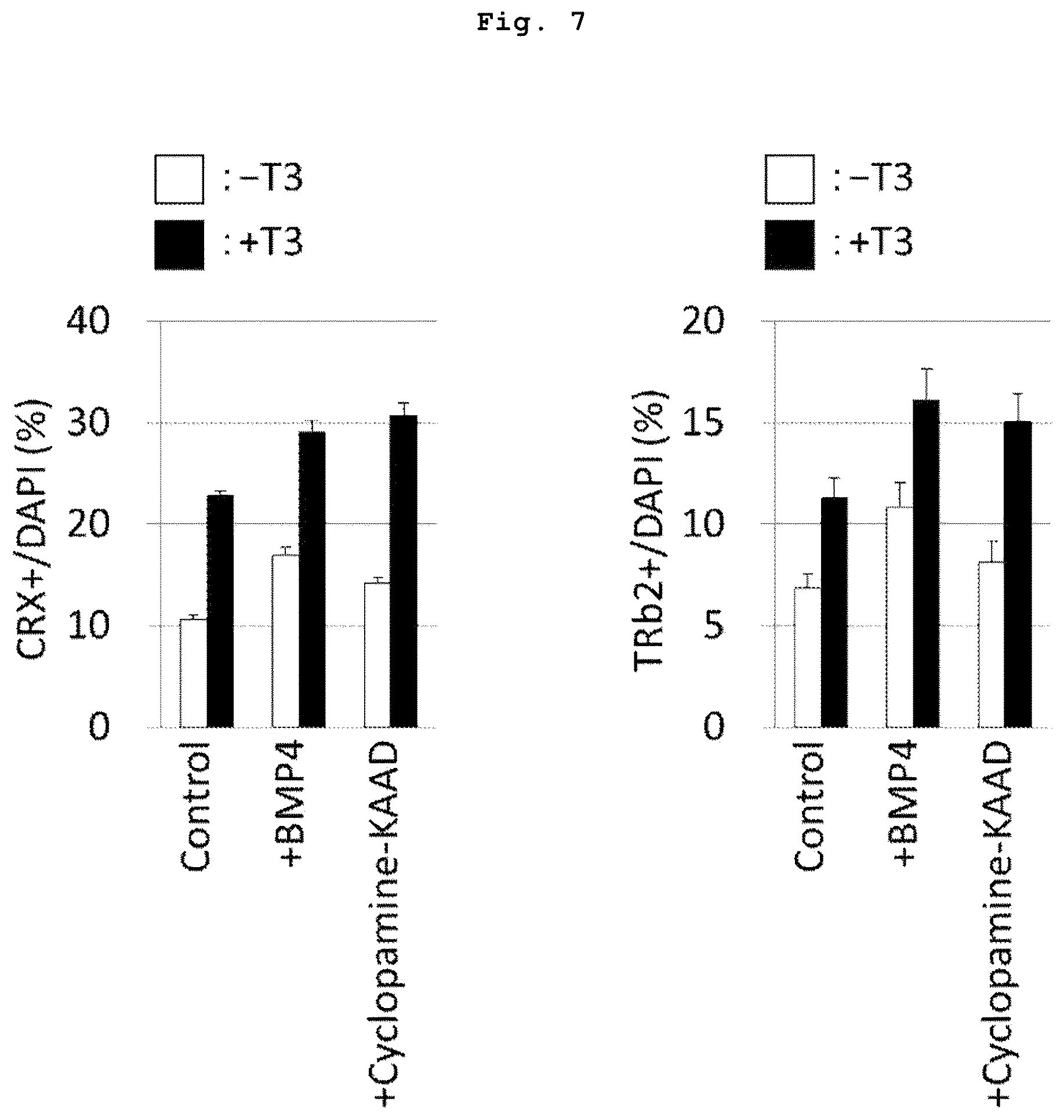 Patent US12090252 Figure 5 – Method for producing retinal tissues