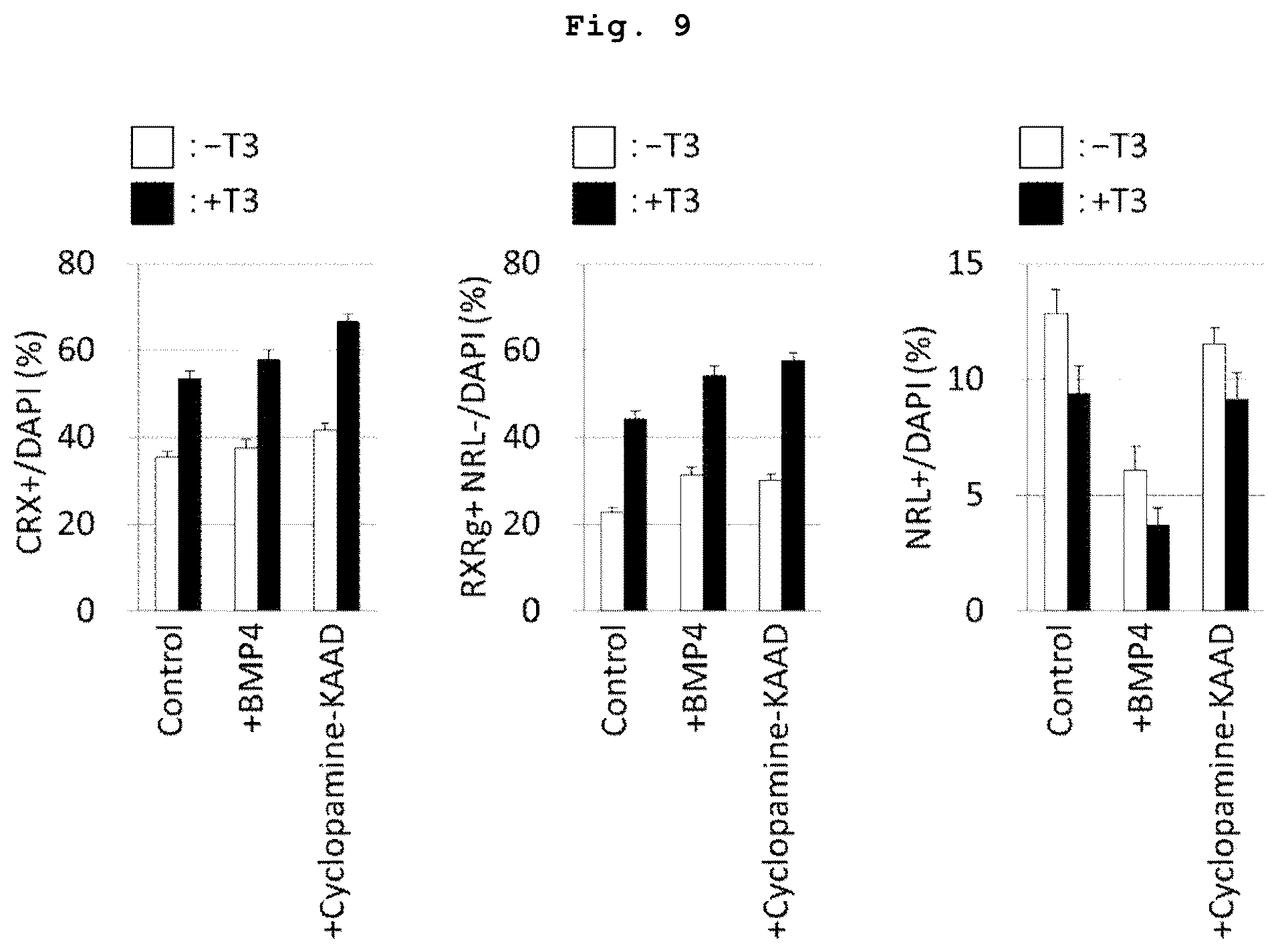 Patent US12090252 Figure 7 – Method for producing retinal tissues