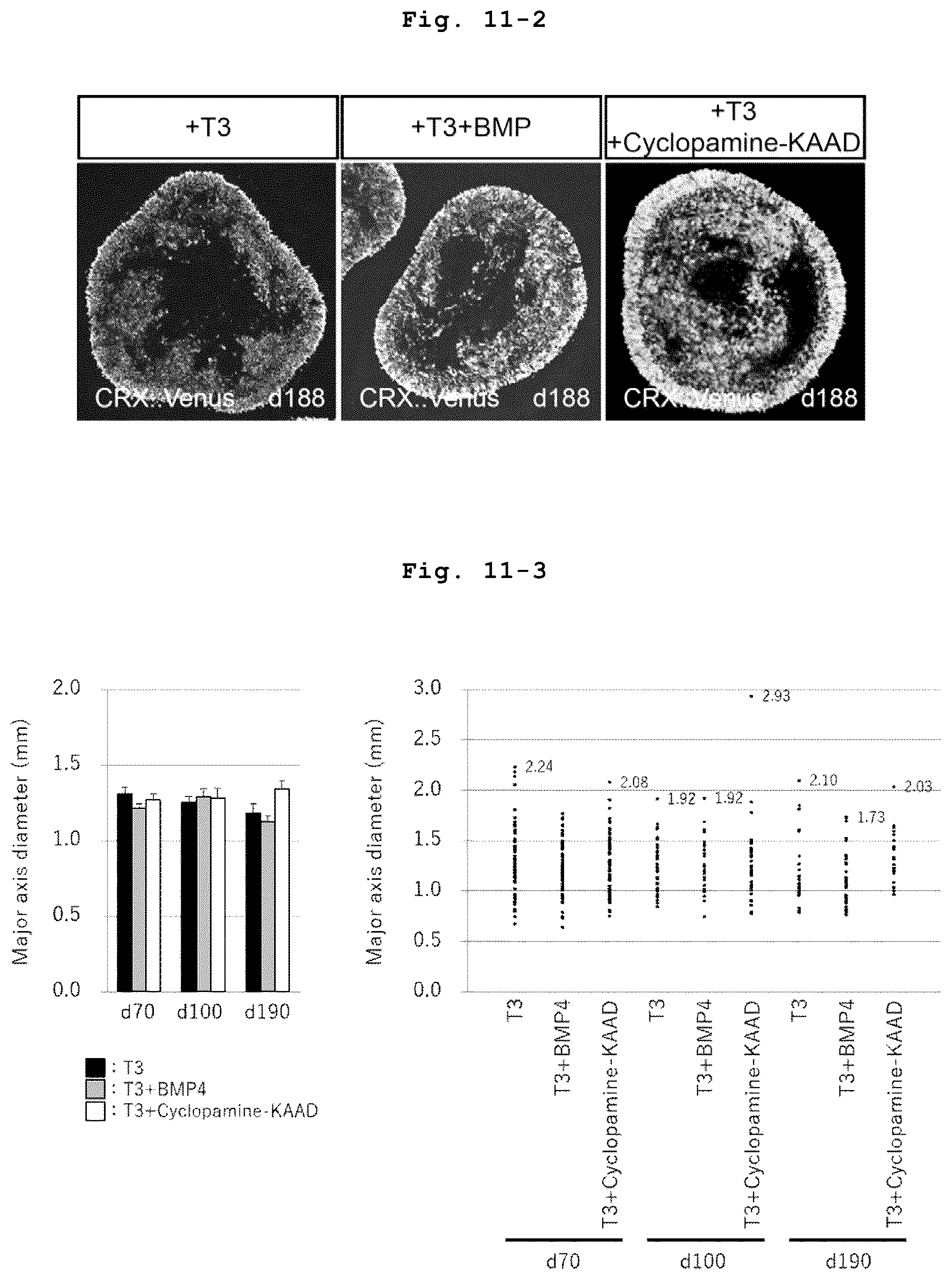 Patent US12090252 Figure 10 – Method for producing retinal tissues