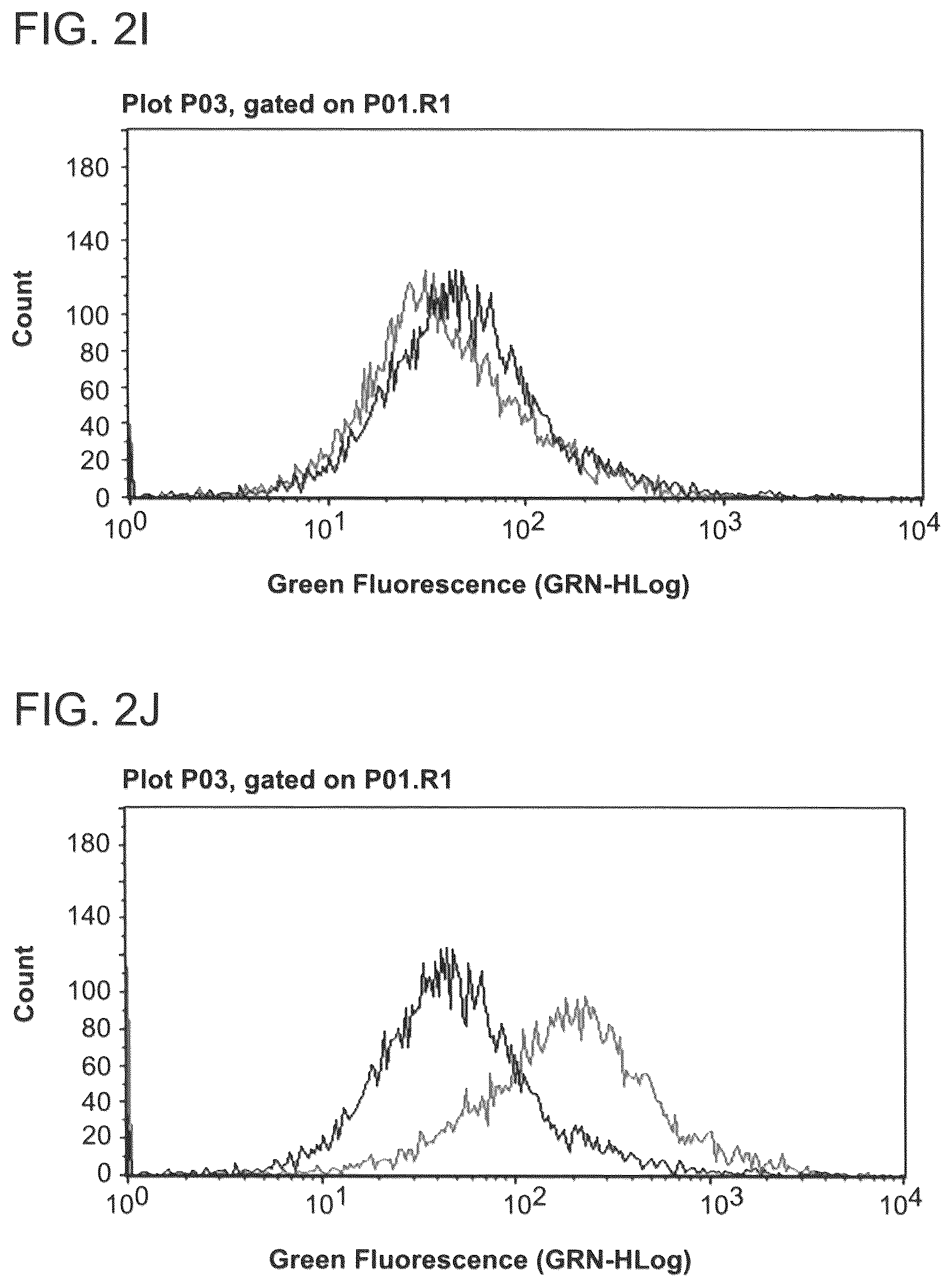 Patent US12090253 Figure 5 – Bioengineered allogeneic blood vessel
