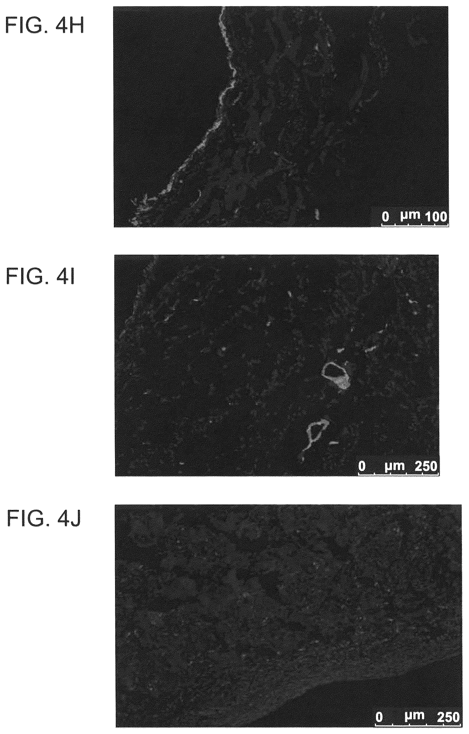 Patent US12090253 Figure 9 – Bioengineered allogeneic blood vessel