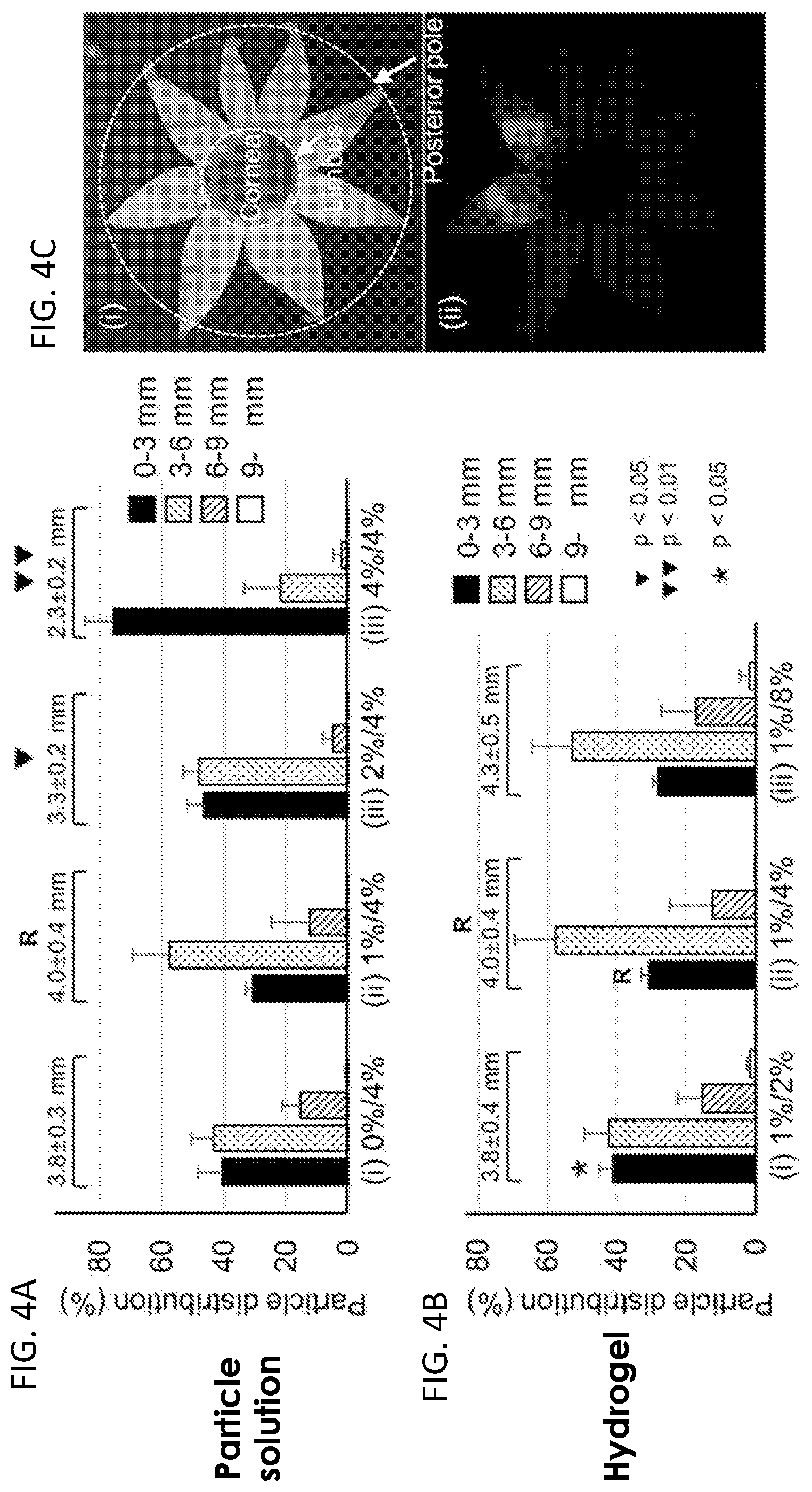 Patent US12090294 Figure 4 – Targeted drug delivery methods using a microneedle