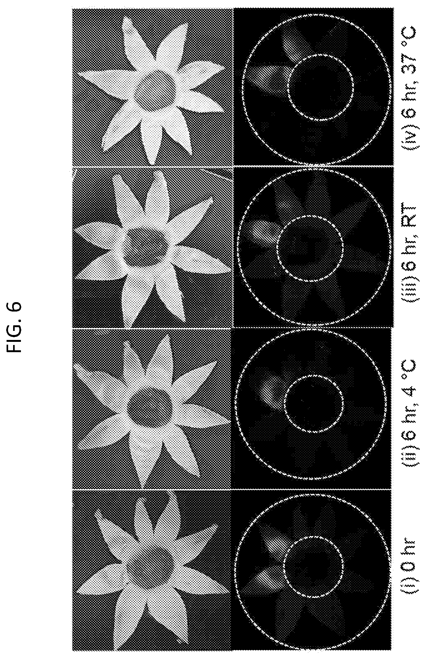 Patent US12090294 Figure 6 – Targeted drug delivery methods using a microneedle