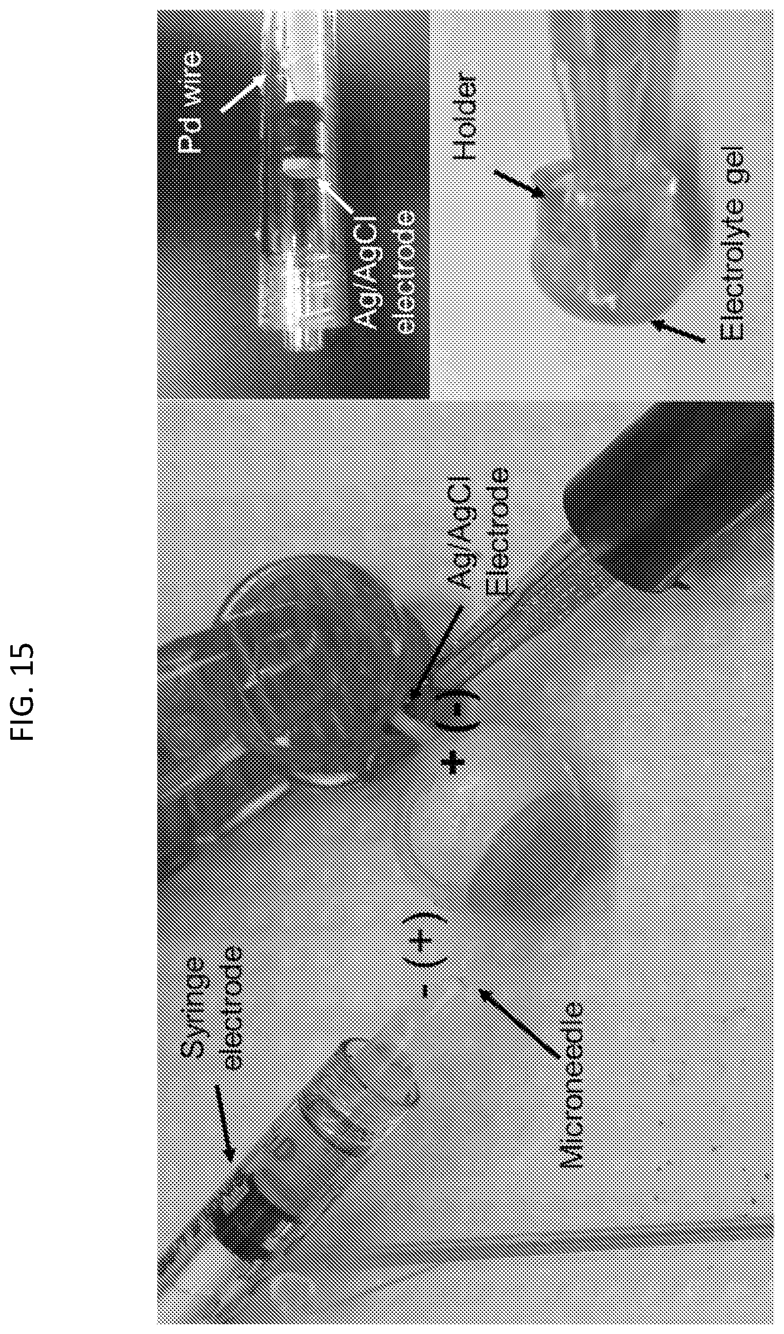Patent US12090294 Figure 15 – Targeted drug delivery methods using a microneedle