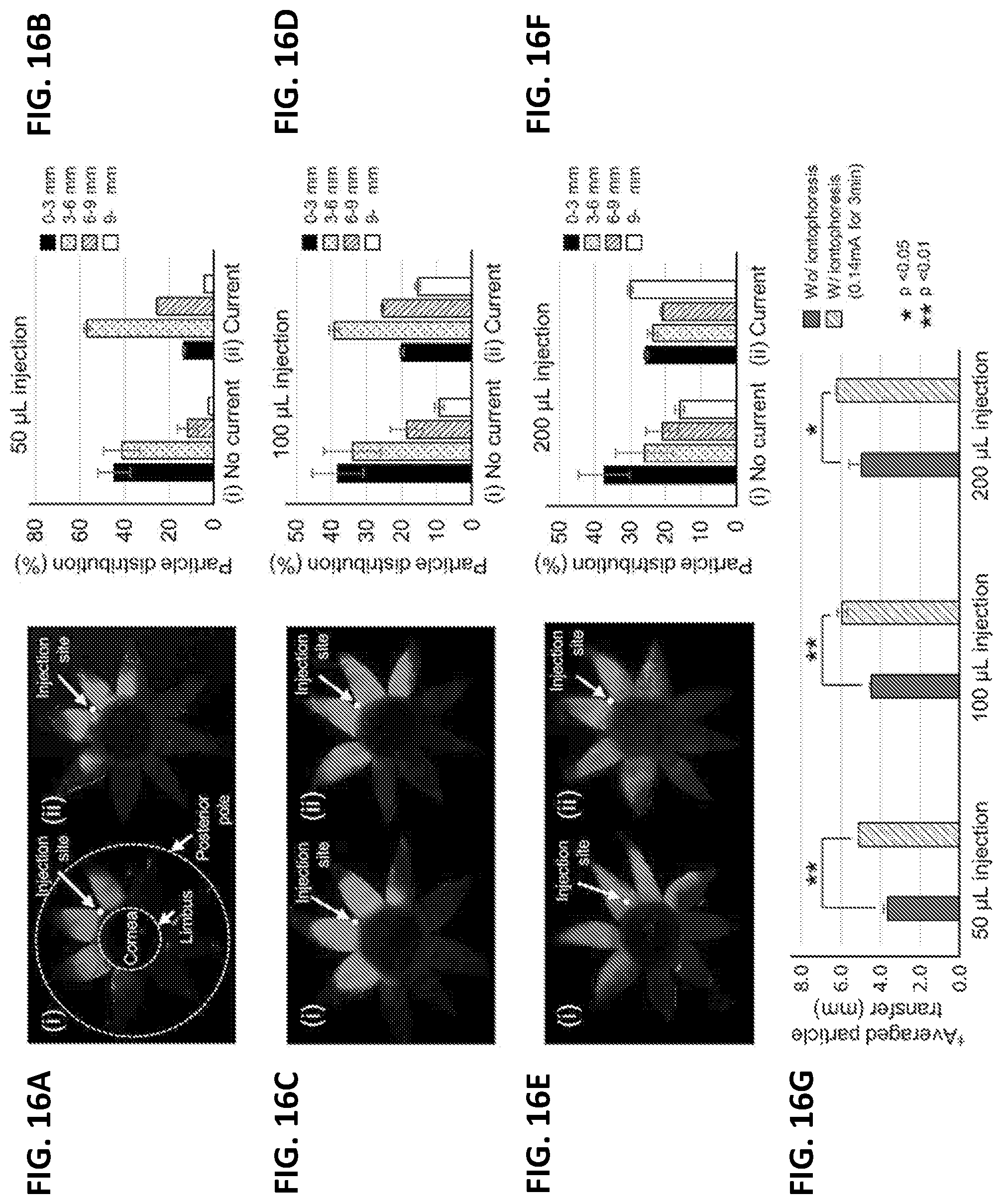 Patent US12090294 Figure 16 – Targeted drug delivery methods using a microneedle