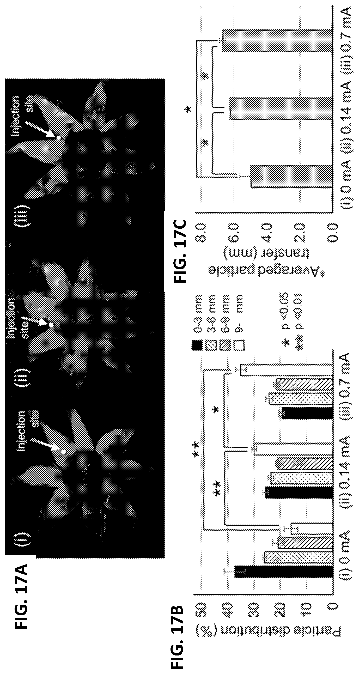 Patent US12090294 Figure 17 – Targeted drug delivery methods using a microneedle